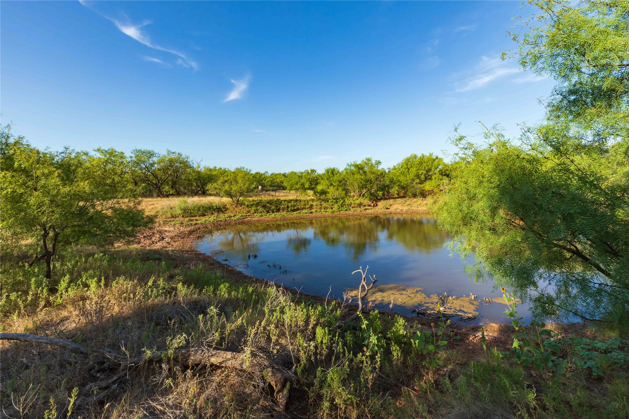 Unimproved Land For Sale in Jones County , oo FM 1226, Stamford, Texas 79553, 0, 0, Garage spaces, 0 Sqft, built in 0, mls#21365653, Real Estate Agent in Stamford, Homes For Sale in Jones county, Homes For Sale in Stamford, Realtor in Stamford Texas, Real Estate Brokerage Independent Realty Texas, Luminita Cordes Realtor