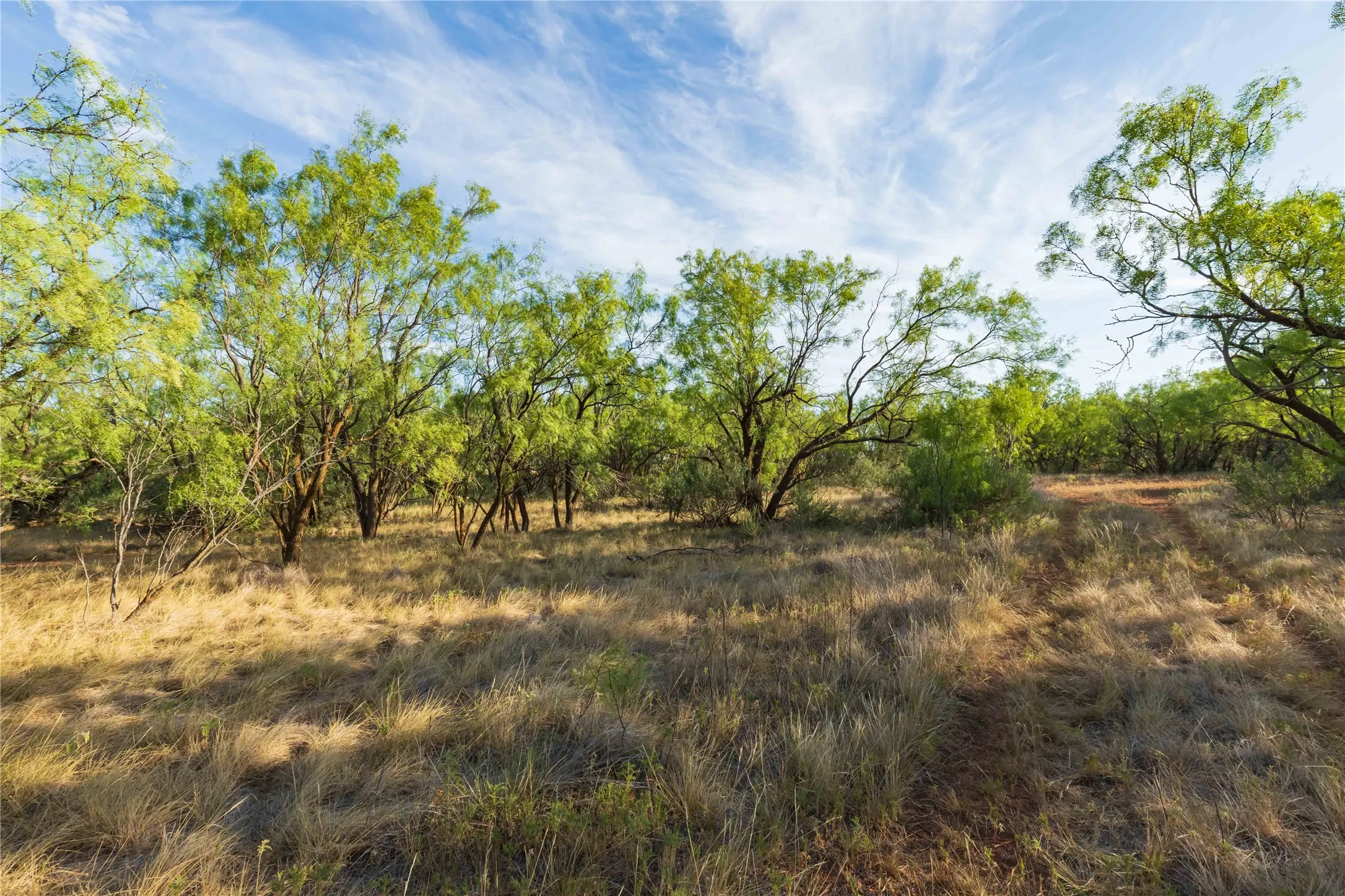 Unimproved Land For Sale in Jones County , oo FM 1226, Stamford, Texas 79553, 0, 0, Garage spaces, 0 Sqft, built in 0, mls#21365653, Real Estate Agent in Stamford, Homes For Sale in Jones county, Homes For Sale in Stamford, Realtor in Stamford Texas, Real Estate Brokerage Independent Realty Texas, Luminita Cordes Realtor