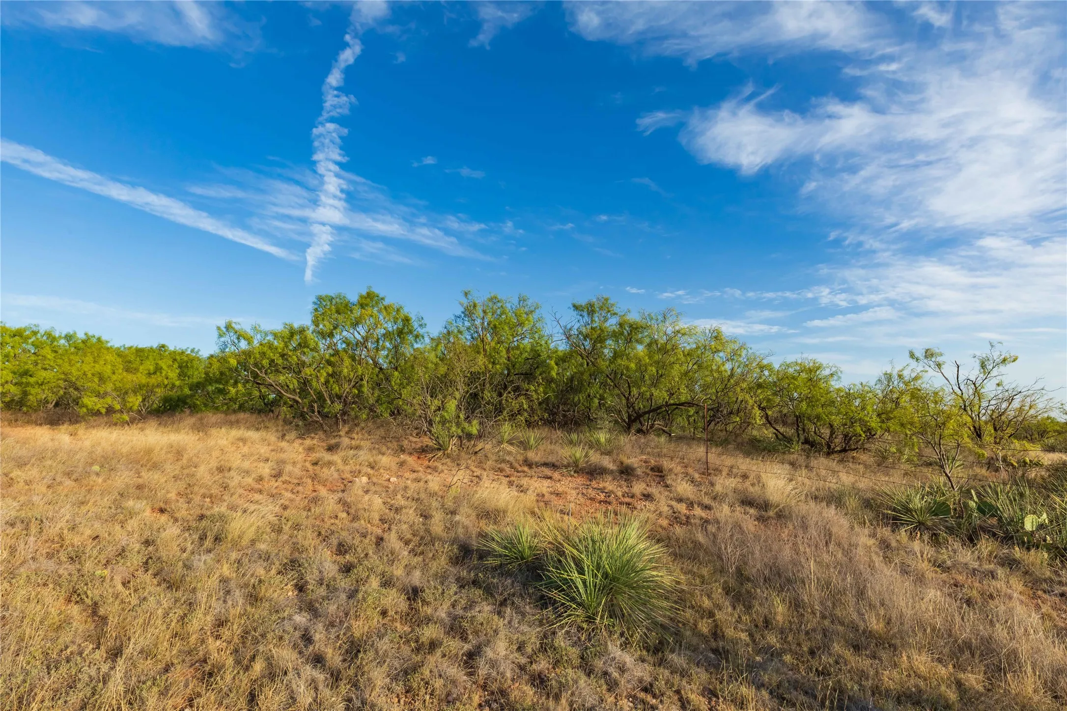 Unimproved Land For Sale in Jones County , oo FM 1226, Stamford, Texas 79553, 0, 0, Garage spaces, 0 Sqft, built in 0, mls#21365653, Real Estate Agent in Stamford, Homes For Sale in Jones county, Homes For Sale in Stamford, Realtor in Stamford Texas, Real Estate Brokerage Independent Realty Texas, Luminita Cordes Realtor
