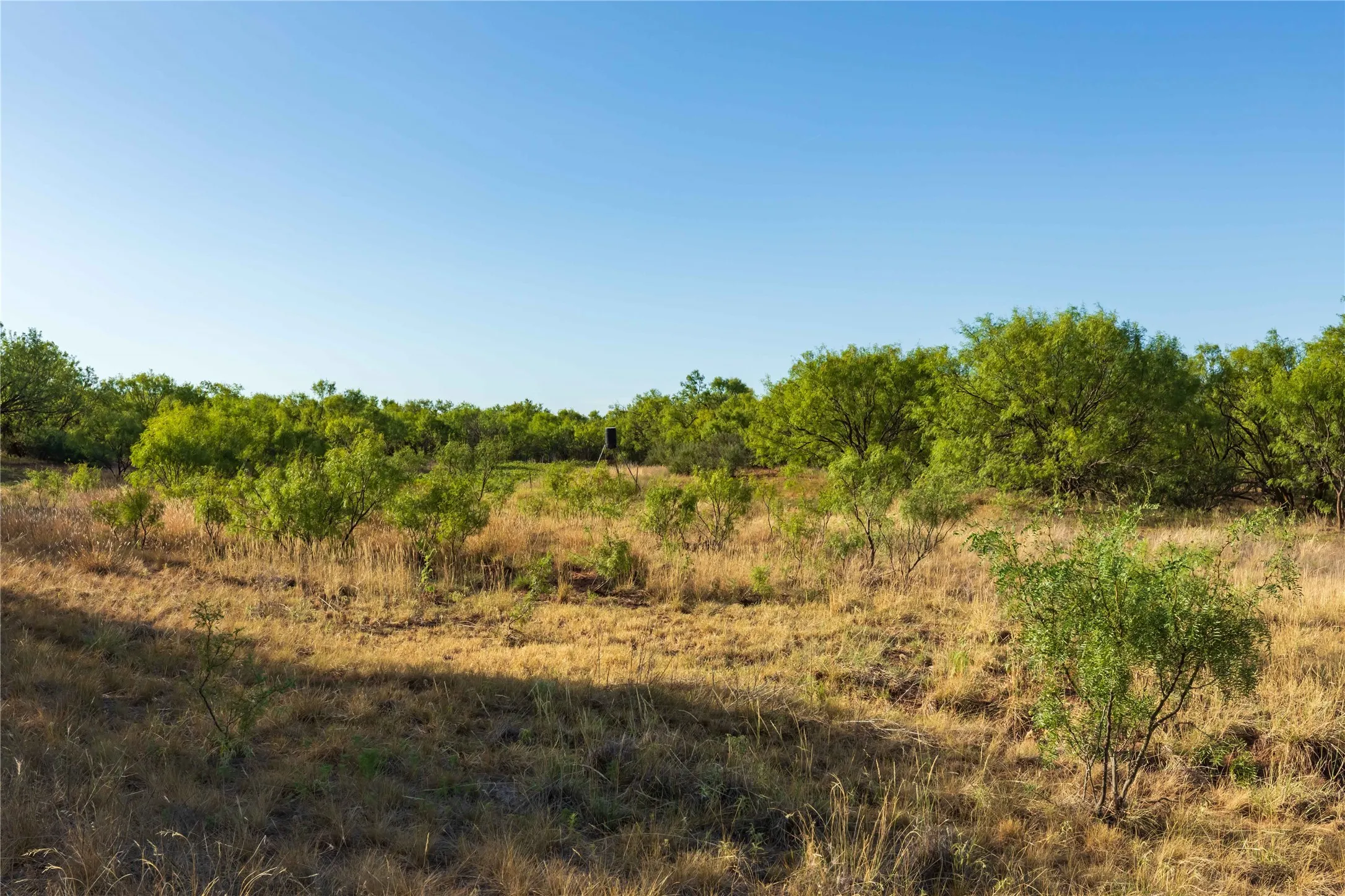 Unimproved Land For Sale in Jones County , oo FM 1226, Stamford, Texas 79553, 0, 0, Garage spaces, 0 Sqft, built in 0, mls#21365653, Real Estate Agent in Stamford, Homes For Sale in Jones county, Homes For Sale in Stamford, Realtor in Stamford Texas, Real Estate Brokerage Independent Realty Texas, Luminita Cordes Realtor