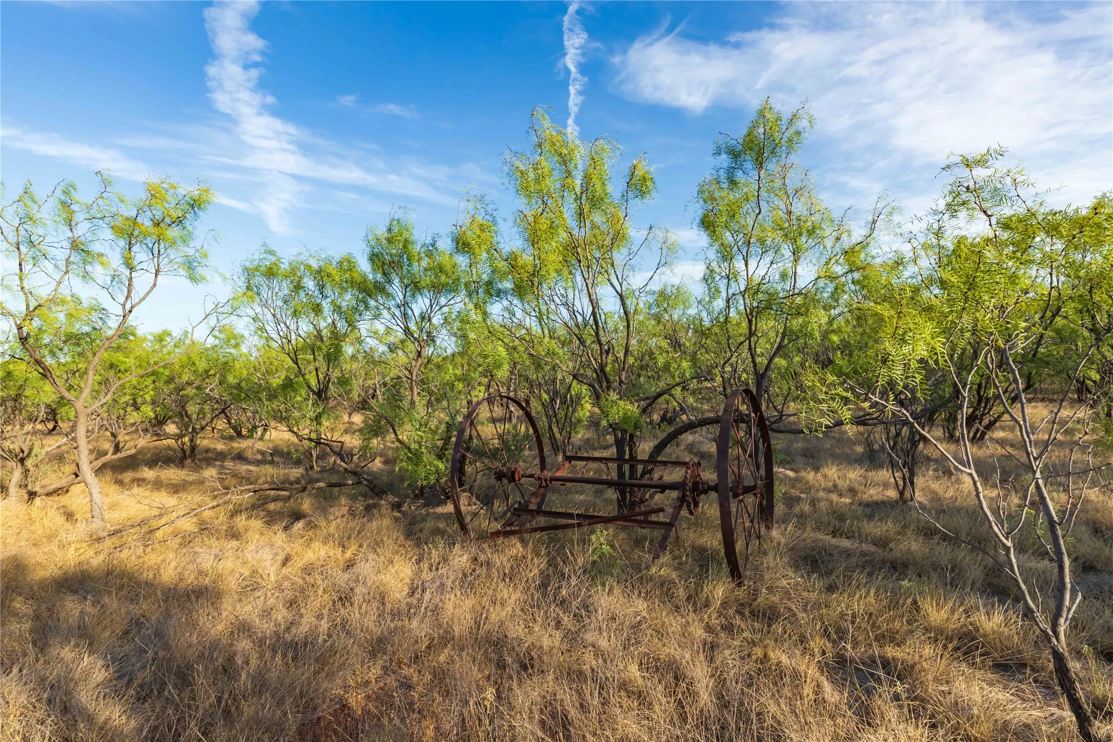Unimproved Land For Sale in Jones County , oo FM 1226, Stamford, Texas 79553, 0, 0, Garage spaces, 0 Sqft, built in 0, mls#21365653, Real Estate Agent in Stamford, Homes For Sale in Jones county, Homes For Sale in Stamford, Realtor in Stamford Texas, Real Estate Brokerage Independent Realty Texas, Luminita Cordes Realtor