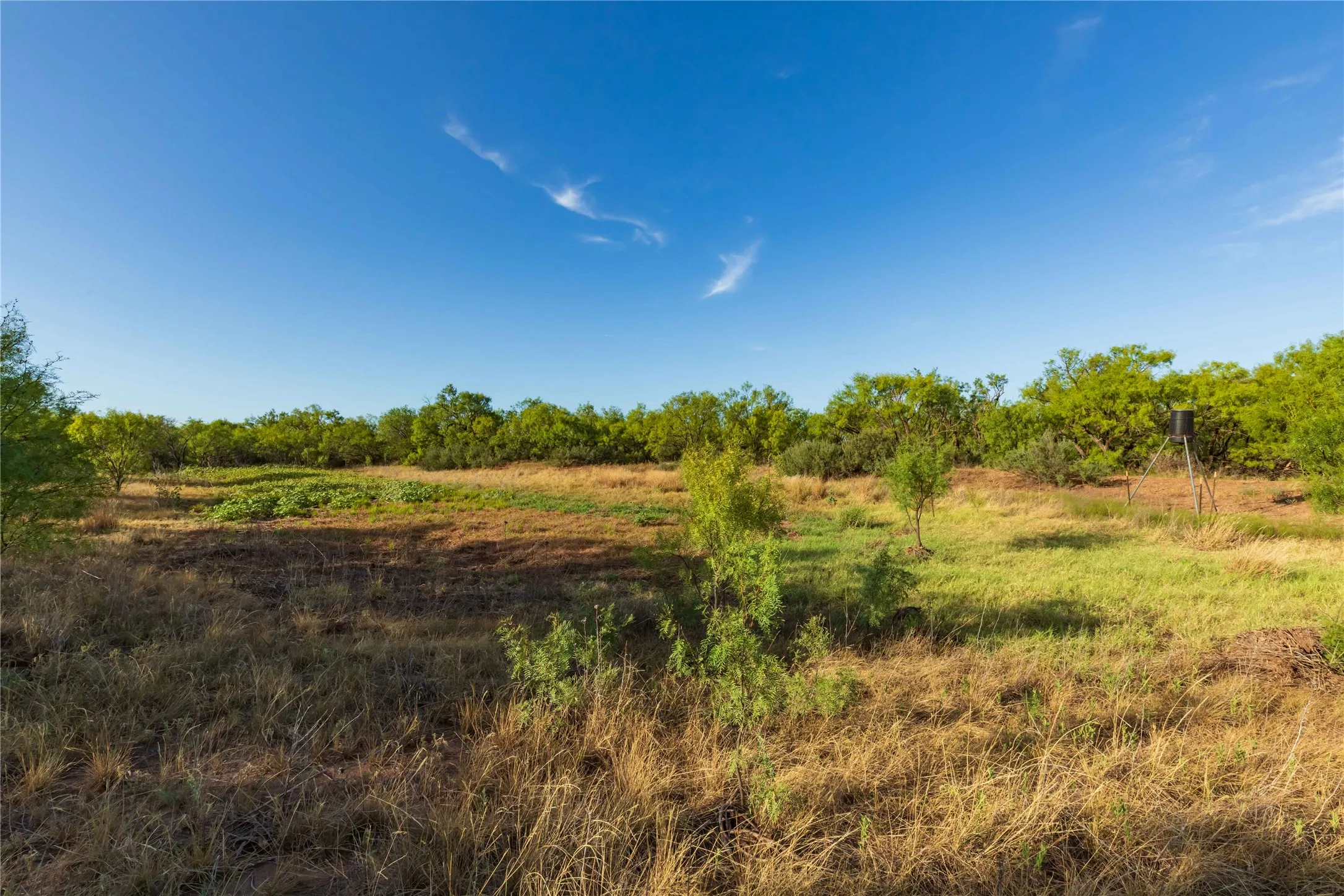 Unimproved Land For Sale in Jones County , oo FM 1226, Stamford, Texas 79553, 0, 0, Garage spaces, 0 Sqft, built in 0, mls#21365653, Real Estate Agent in Stamford, Homes For Sale in Jones county, Homes For Sale in Stamford, Realtor in Stamford Texas, Real Estate Brokerage Independent Realty Texas, Luminita Cordes Realtor