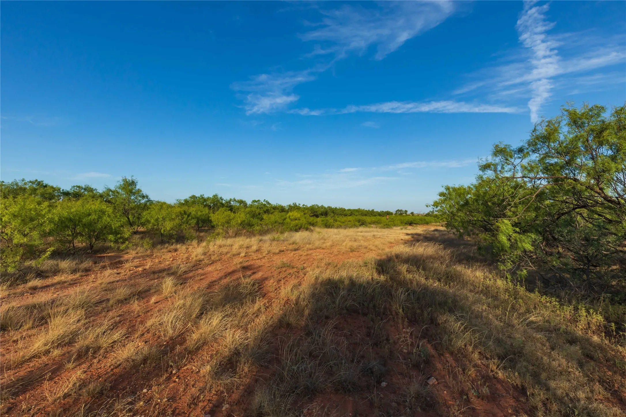 Unimproved Land For Sale in Jones County , oo FM 1226, Stamford, Texas 79553, 0, 0, Garage spaces, 0 Sqft, built in 0, mls#21365653, Real Estate Agent in Stamford, Homes For Sale in Jones county, Homes For Sale in Stamford, Realtor in Stamford Texas, Real Estate Brokerage Independent Realty Texas, Luminita Cordes Realtor