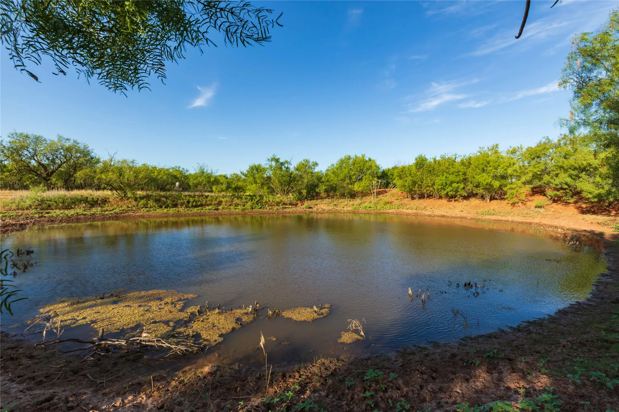 Unimproved Land For Sale in Jones County , oo FM 1226, Stamford, Texas 79553, 0, 0, Garage spaces, 0 Sqft, built in 0, mls#21365653, Real Estate Agent in Stamford, Homes For Sale in Jones county, Homes For Sale in Stamford, Realtor in Stamford Texas, Real Estate Brokerage Independent Realty Texas, Luminita Cordes Realtor
