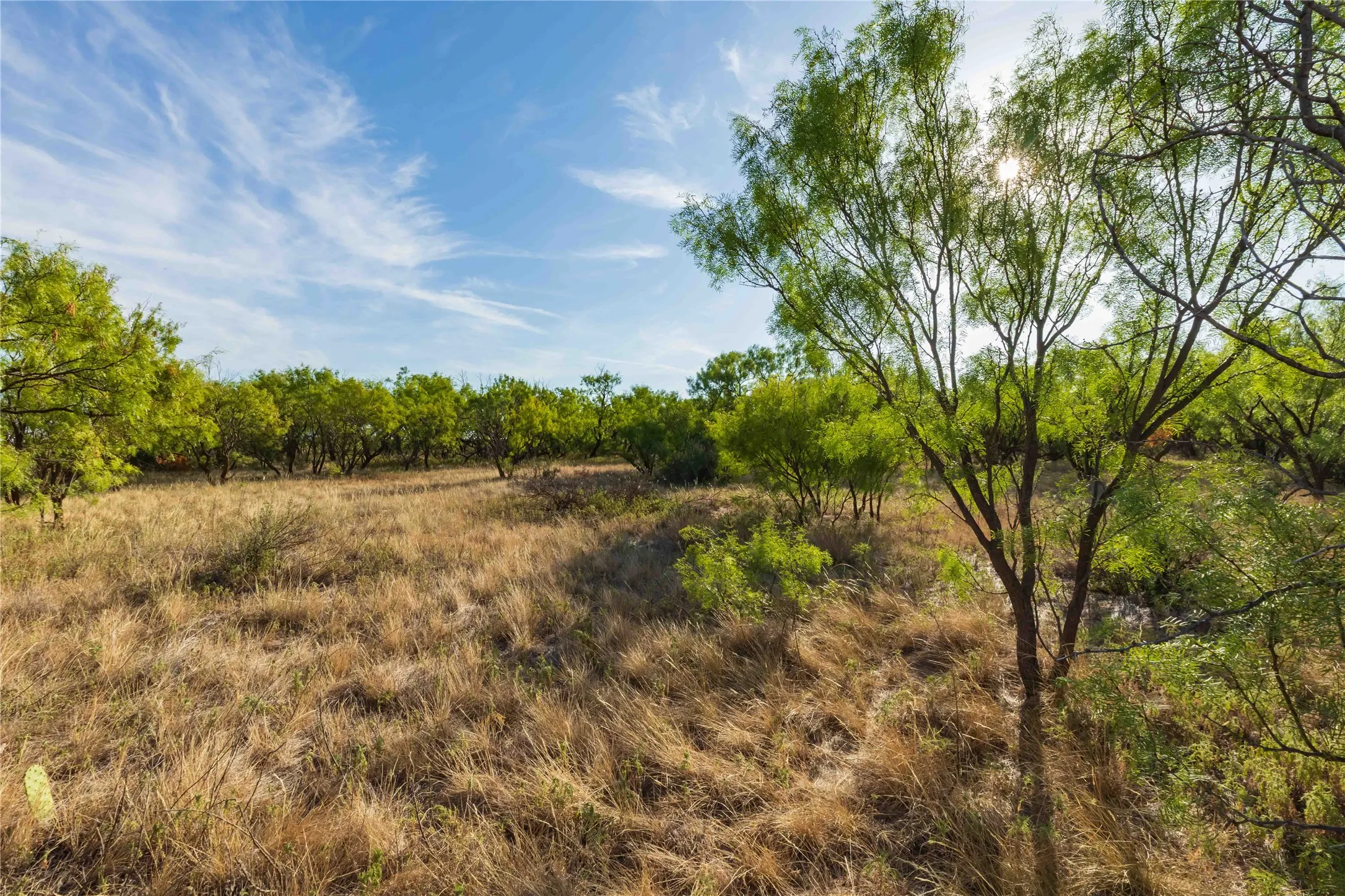 Unimproved Land For Sale in Jones County , oo FM 1226, Stamford, Texas 79553, 0, 0, Garage spaces, 0 Sqft, built in 0, mls#21365653, Real Estate Agent in Stamford, Homes For Sale in Jones county, Homes For Sale in Stamford, Realtor in Stamford Texas, Real Estate Brokerage Independent Realty Texas, Luminita Cordes Realtor