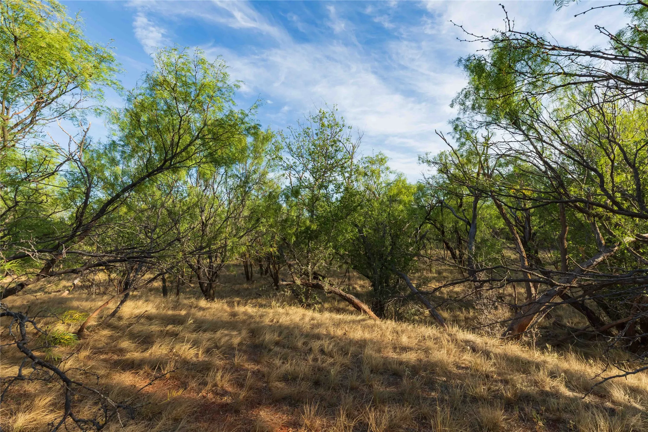 Unimproved Land For Sale in Jones County , oo FM 1226, Stamford, Texas 79553, 0, 0, Garage spaces, 0 Sqft, built in 0, mls#21365653, Real Estate Agent in Stamford, Homes For Sale in Jones county, Homes For Sale in Stamford, Realtor in Stamford Texas, Real Estate Brokerage Independent Realty Texas, Luminita Cordes Realtor
