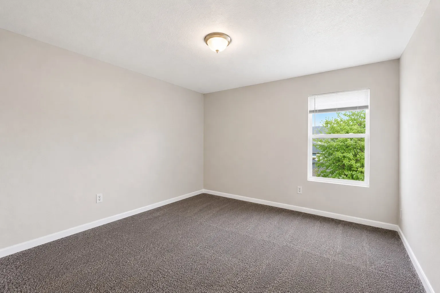 Neutral wall color, carpeted flooring, single window, flush-mount lighting, white trim