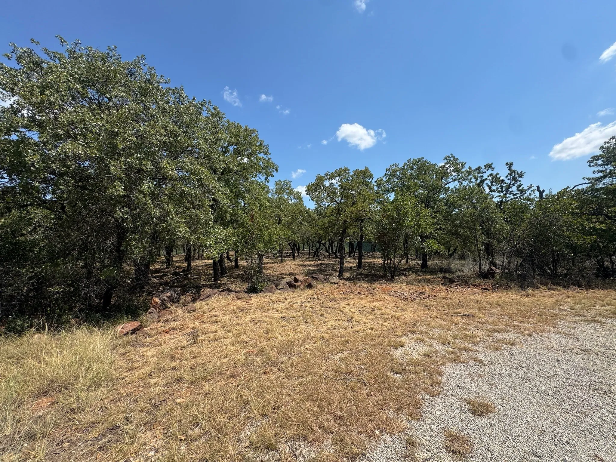 Unimproved Land For Sale in Palo Pinto County , F27 Kiki Run, Gordon, Texas 76453, 0, 0, Garage spaces, 0 Sqft, built in 0, Price $249,900, mls#21351867, Real Estate Agent in Gordon, Homes For Sale in Palo Pinto county, Homes For Sale in Gordon, Realtor in Gordon Texas, Real Estate Brokerage Independent Realty Texas, Luminita Cordes Realtor