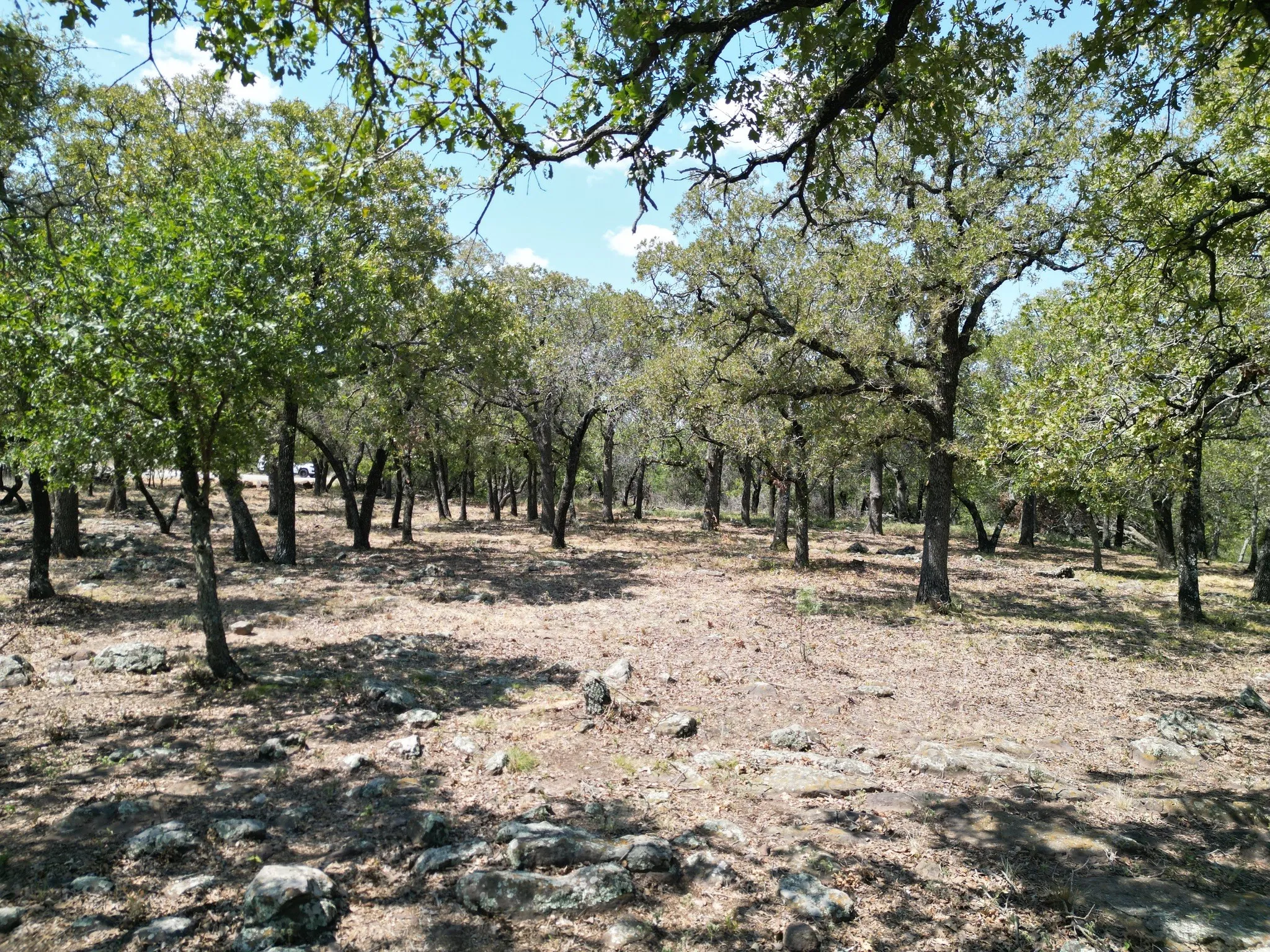 Unimproved Land For Sale in Palo Pinto County , F27 Kiki Run, Gordon, Texas 76453, 0, 0, Garage spaces, 0 Sqft, built in 0, Price $249,900, mls#21351867, Real Estate Agent in Gordon, Homes For Sale in Palo Pinto county, Homes For Sale in Gordon, Realtor in Gordon Texas, Real Estate Brokerage Independent Realty Texas, Luminita Cordes Realtor