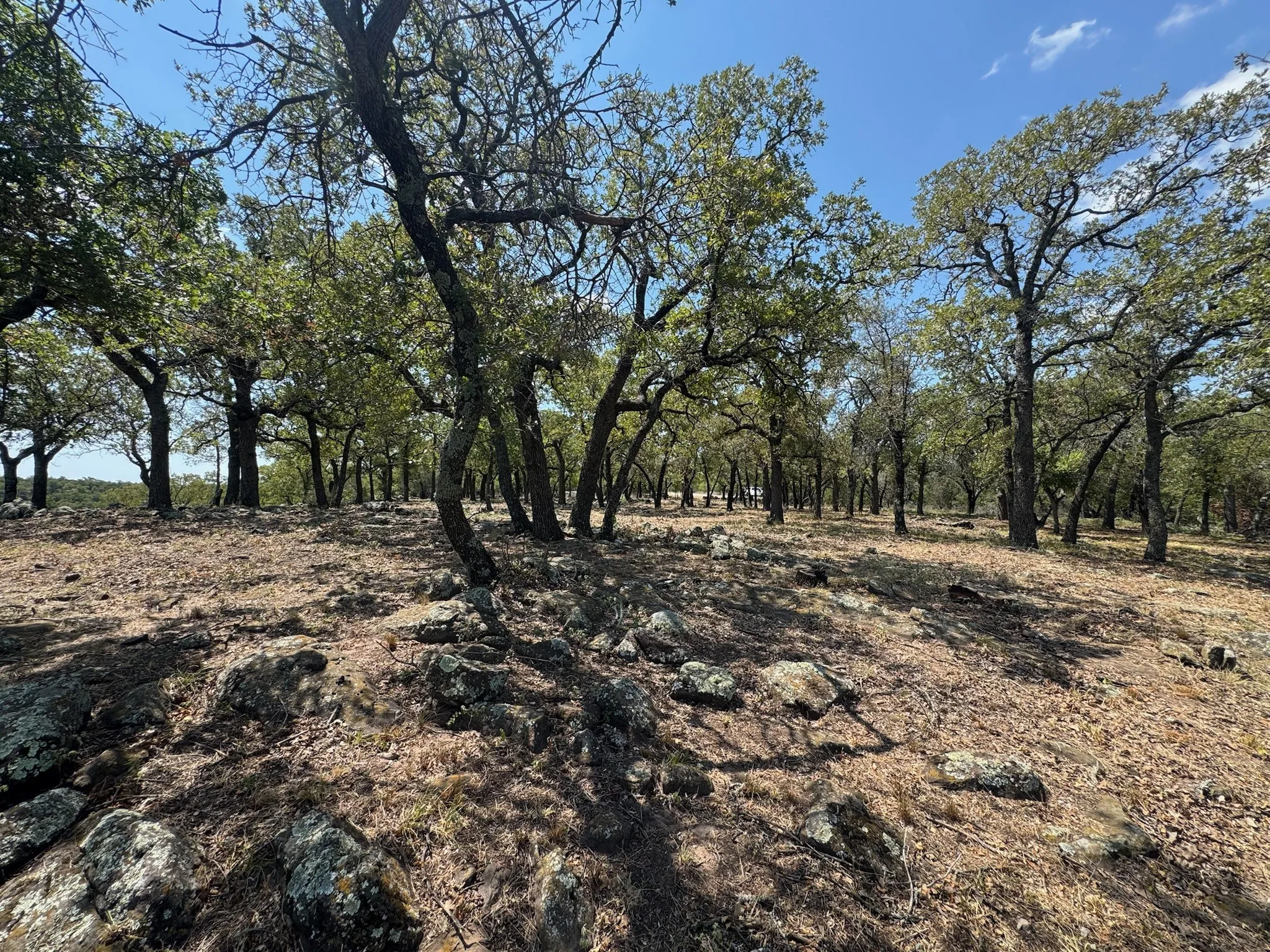 Unimproved Land For Sale in Palo Pinto County , F27 Kiki Run, Gordon, Texas 76453, 0, 0, Garage spaces, 0 Sqft, built in 0, Price $249,900, mls#21351867, Real Estate Agent in Gordon, Homes For Sale in Palo Pinto county, Homes For Sale in Gordon, Realtor in Gordon Texas, Real Estate Brokerage Independent Realty Texas, Luminita Cordes Realtor