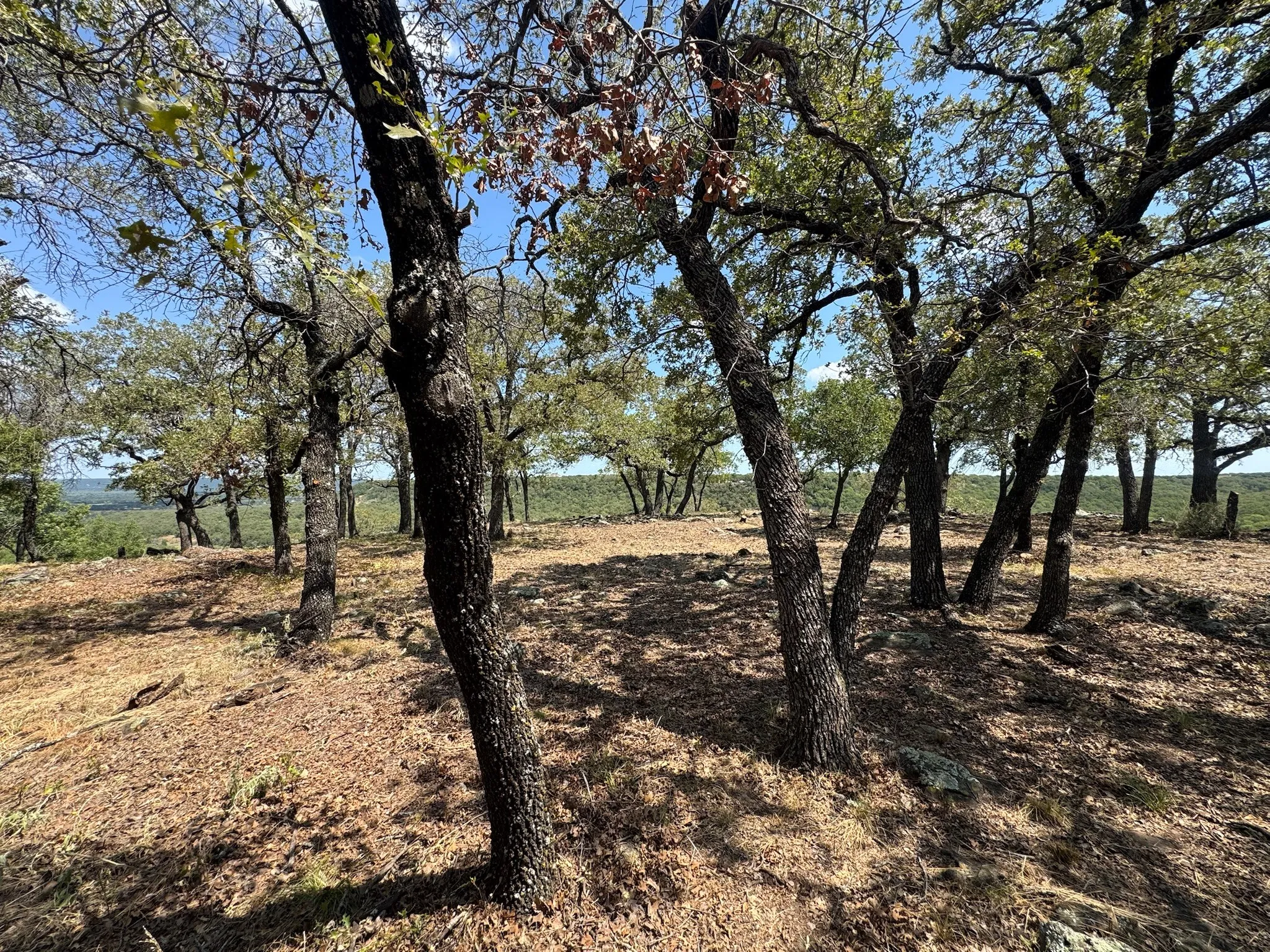 Unimproved Land For Sale in Palo Pinto County , F27 Kiki Run, Gordon, Texas 76453, 0, 0, Garage spaces, 0 Sqft, built in 0, Price $249,900, mls#21351867, Real Estate Agent in Gordon, Homes For Sale in Palo Pinto county, Homes For Sale in Gordon, Realtor in Gordon Texas, Real Estate Brokerage Independent Realty Texas, Luminita Cordes Realtor