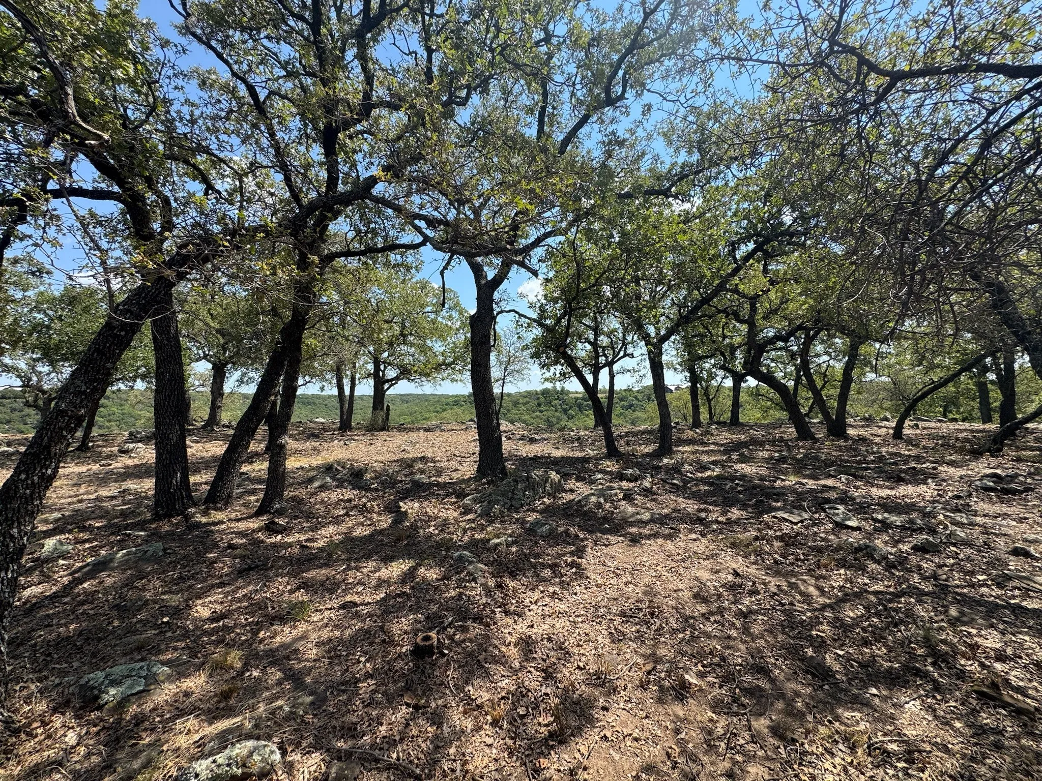 Unimproved Land For Sale in Palo Pinto County , F27 Kiki Run, Gordon, Texas 76453, 0, 0, Garage spaces, 0 Sqft, built in 0, Price $249,900, mls#21351867, Real Estate Agent in Gordon, Homes For Sale in Palo Pinto county, Homes For Sale in Gordon, Realtor in Gordon Texas, Real Estate Brokerage Independent Realty Texas, Luminita Cordes Realtor