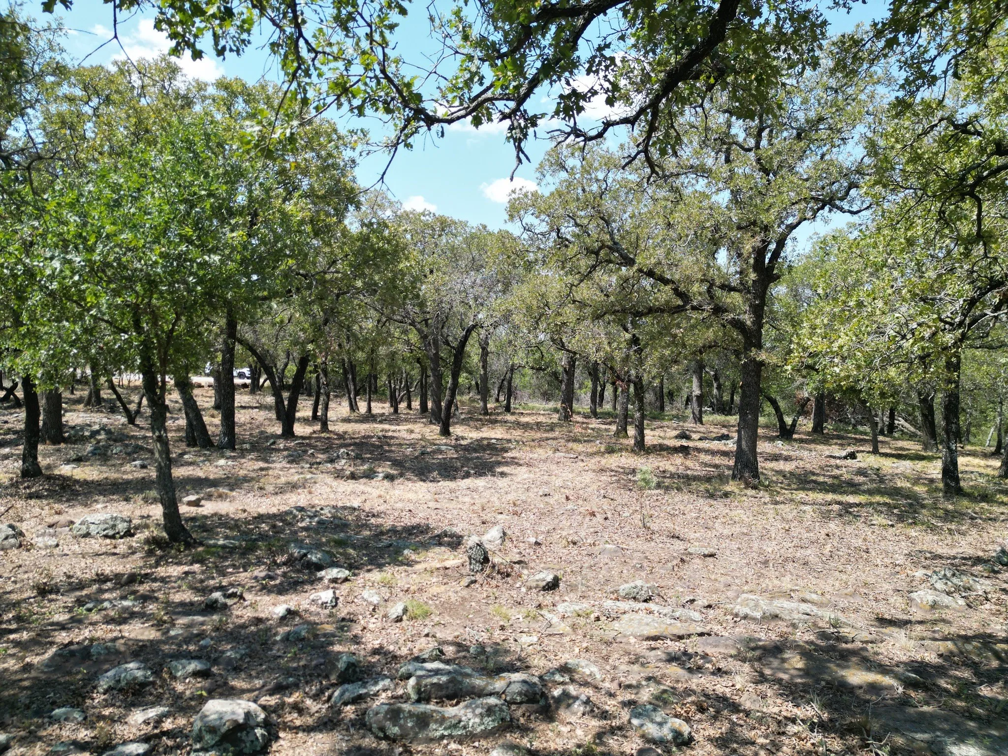 Unimproved Land For Sale in Palo Pinto County , F27 Kiki Run, Gordon, Texas 76453, 0, 0, Garage spaces, 0 Sqft, built in 0, Price $249,900, mls#21351867, Real Estate Agent in Gordon, Homes For Sale in Palo Pinto county, Homes For Sale in Gordon, Realtor in Gordon Texas, Real Estate Brokerage Independent Realty Texas, Luminita Cordes Realtor