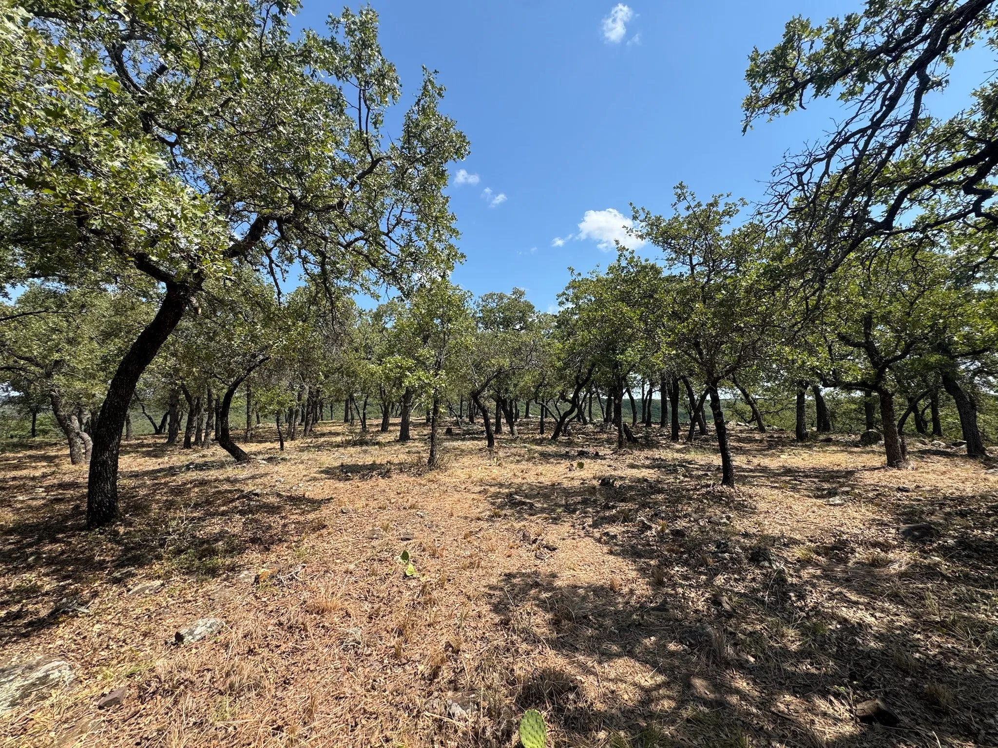 Unimproved Land For Sale in Palo Pinto County , F27 Kiki Run, Gordon, Texas 76453, 0, 0, Garage spaces, 0 Sqft, built in 0, Price $249,900, mls#21351867, Real Estate Agent in Gordon, Homes For Sale in Palo Pinto county, Homes For Sale in Gordon, Realtor in Gordon Texas, Real Estate Brokerage Independent Realty Texas, Luminita Cordes Realtor