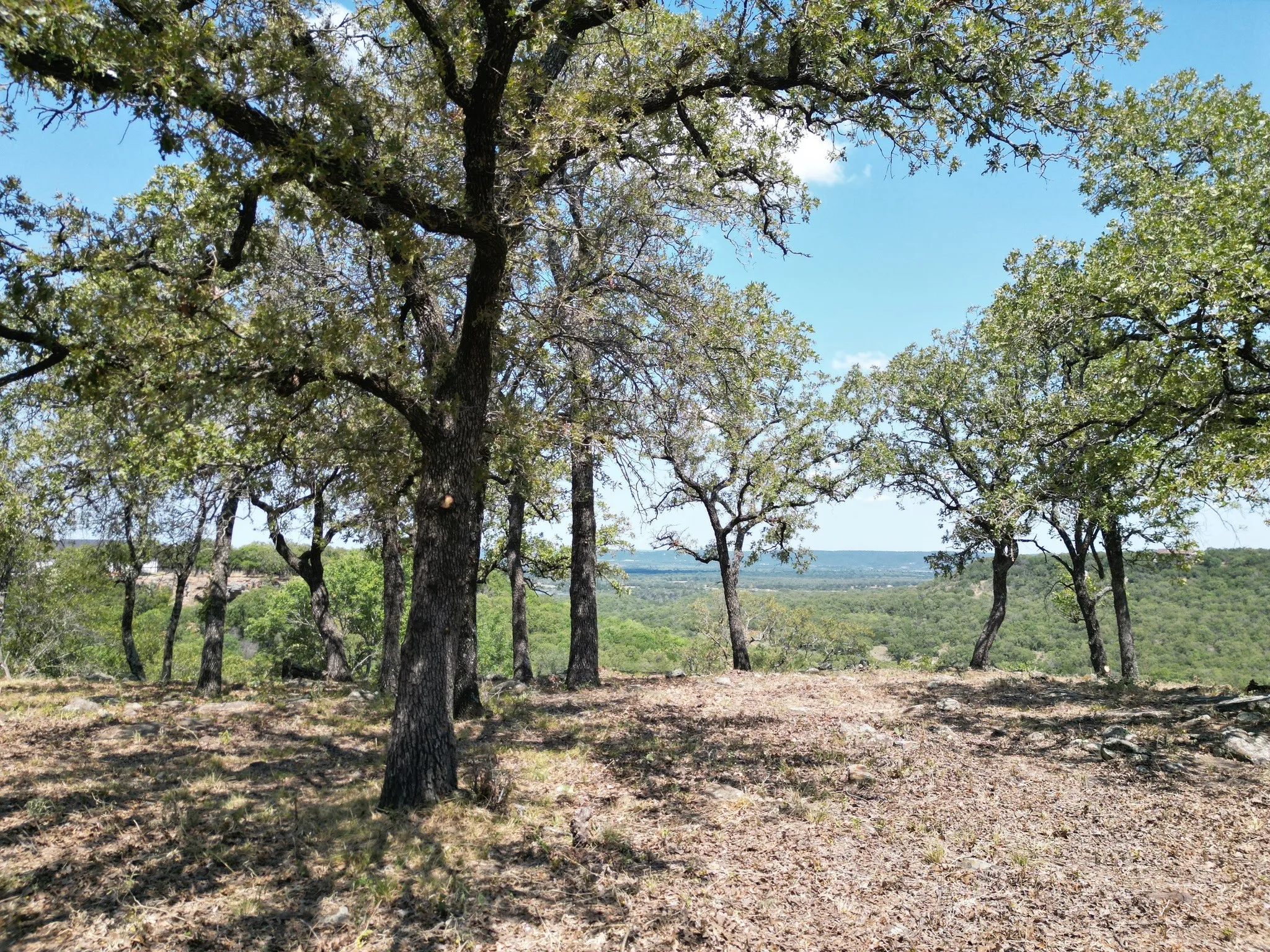 Unimproved Land For Sale in Palo Pinto County , F27 Kiki Run, Gordon, Texas 76453, 0, 0, Garage spaces, 0 Sqft, built in 0, Price $249,900, mls#21351867, Real Estate Agent in Gordon, Homes For Sale in Palo Pinto county, Homes For Sale in Gordon, Realtor in Gordon Texas, Real Estate Brokerage Independent Realty Texas, Luminita Cordes Realtor