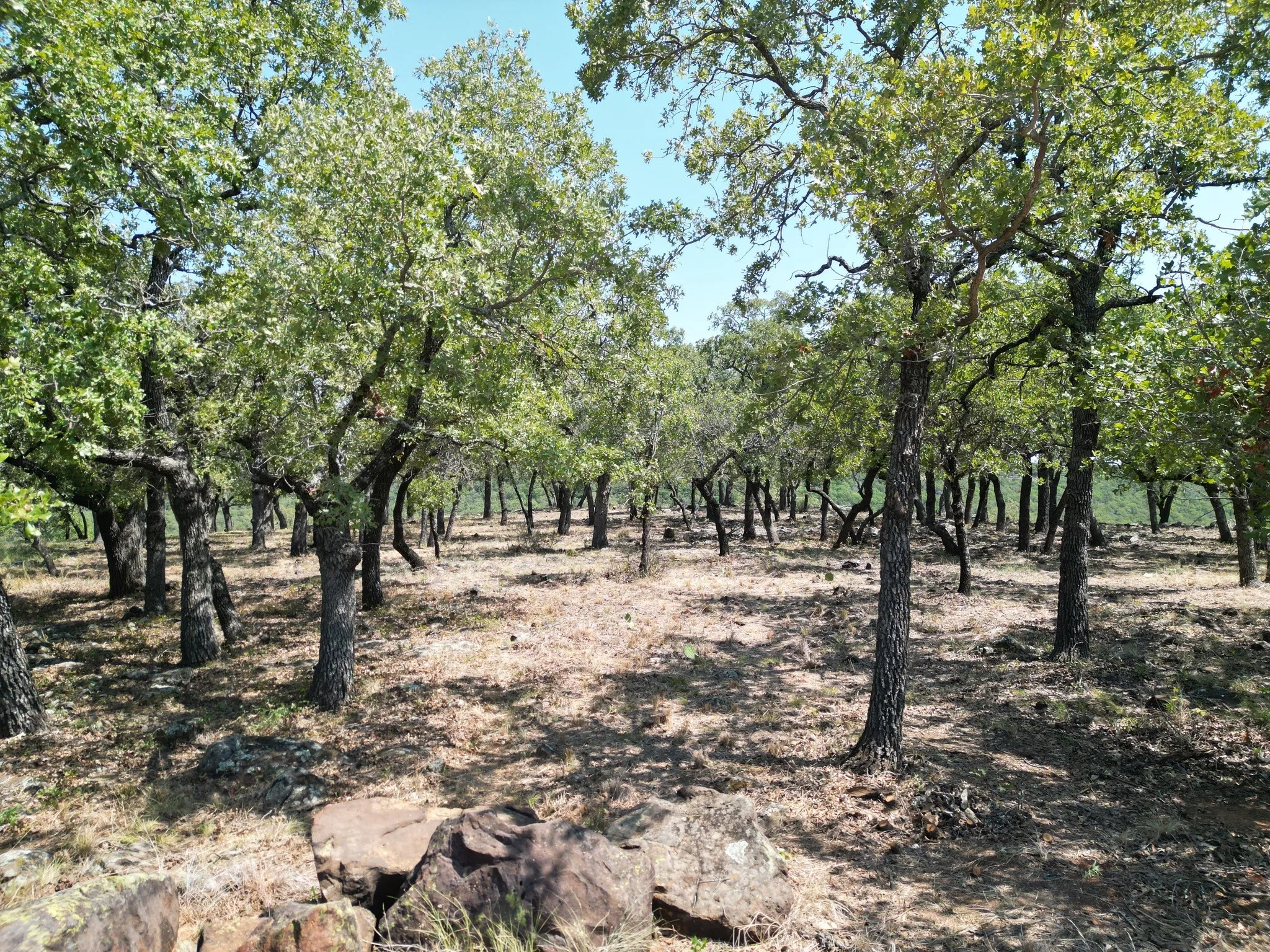 Unimproved Land For Sale in Palo Pinto County , F27 Kiki Run, Gordon, Texas 76453, 0, 0, Garage spaces, 0 Sqft, built in 0, Price $249,900, mls#21351867, Real Estate Agent in Gordon, Homes For Sale in Palo Pinto county, Homes For Sale in Gordon, Realtor in Gordon Texas, Real Estate Brokerage Independent Realty Texas, Luminita Cordes Realtor