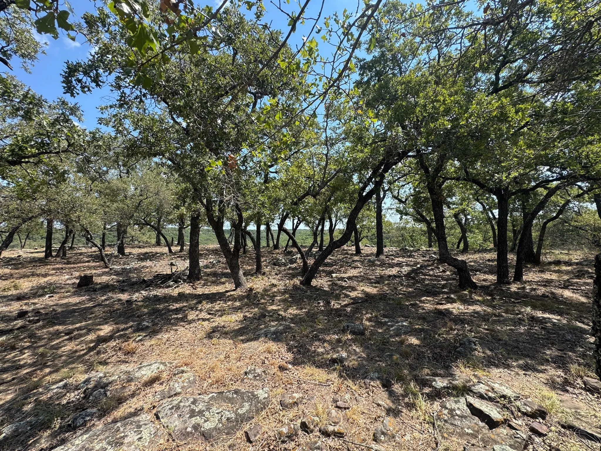 Unimproved Land For Sale in Palo Pinto County , F27 Kiki Run, Gordon, Texas 76453, 0, 0, Garage spaces, 0 Sqft, built in 0, Price $249,900, mls#21351867, Real Estate Agent in Gordon, Homes For Sale in Palo Pinto county, Homes For Sale in Gordon, Realtor in Gordon Texas, Real Estate Brokerage Independent Realty Texas, Luminita Cordes Realtor
