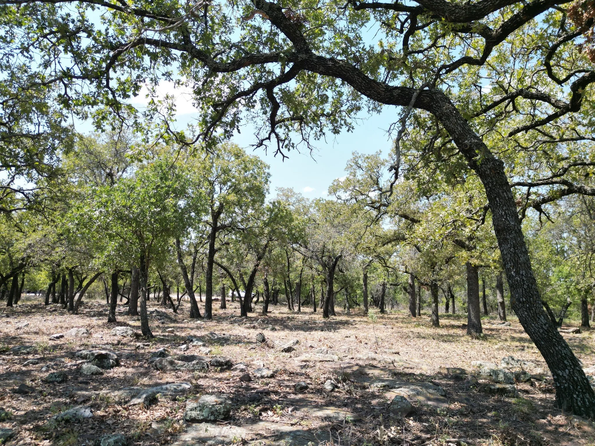 Unimproved Land For Sale in Palo Pinto County , F27 Kiki Run, Gordon, Texas 76453, 0, 0, Garage spaces, 0 Sqft, built in 0, Price $249,900, mls#21351867, Real Estate Agent in Gordon, Homes For Sale in Palo Pinto county, Homes For Sale in Gordon, Realtor in Gordon Texas, Real Estate Brokerage Independent Realty Texas, Luminita Cordes Realtor