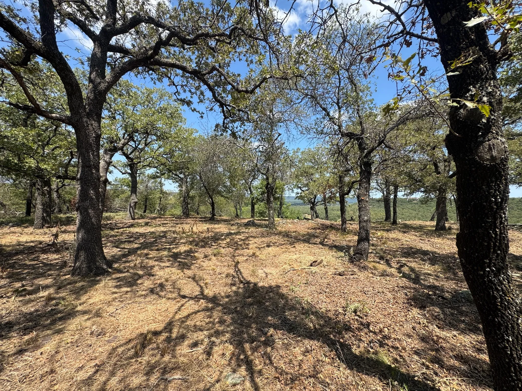 Unimproved Land For Sale in Palo Pinto County , F27 Kiki Run, Gordon, Texas 76453, 0, 0, Garage spaces, 0 Sqft, built in 0, Price $249,900, mls#21351867, Real Estate Agent in Gordon, Homes For Sale in Palo Pinto county, Homes For Sale in Gordon, Realtor in Gordon Texas, Real Estate Brokerage Independent Realty Texas, Luminita Cordes Realtor