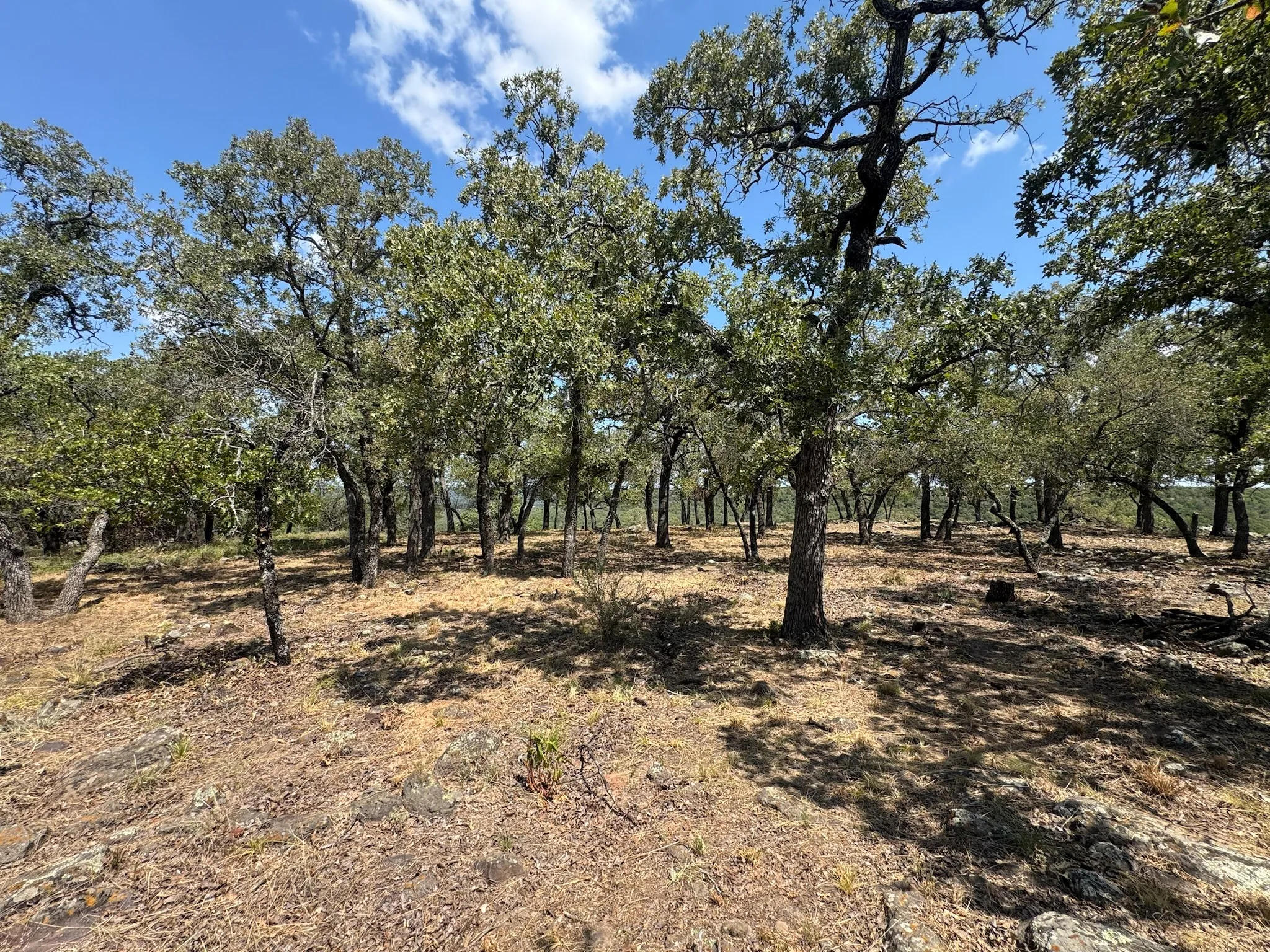 Unimproved Land For Sale in Palo Pinto County , F27 Kiki Run, Gordon, Texas 76453, 0, 0, Garage spaces, 0 Sqft, built in 0, Price $249,900, mls#21351867, Real Estate Agent in Gordon, Homes For Sale in Palo Pinto county, Homes For Sale in Gordon, Realtor in Gordon Texas, Real Estate Brokerage Independent Realty Texas, Luminita Cordes Realtor