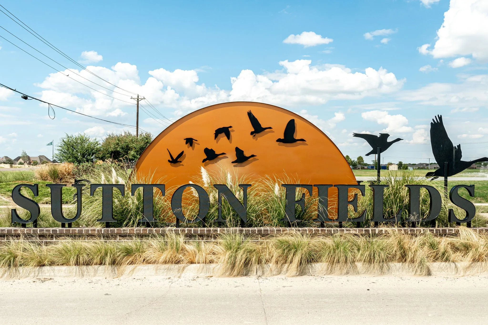 Single Family Residence For Sale in Denton County , 4529 Conrad Avenue, Celina, Texas 76227, 4 Bedroom, 2 Bathroom, 2 Garage spaces, 1,862 Sqft, built in 2019, mls#21361265, Real Estate Agent in Celina, Homes For Sale in Denton county, Homes For Sale in Celina, Realtor in Celina Texas, Real Estate Brokerage Independent Realty Texas, Luminita Cordes Realtor
