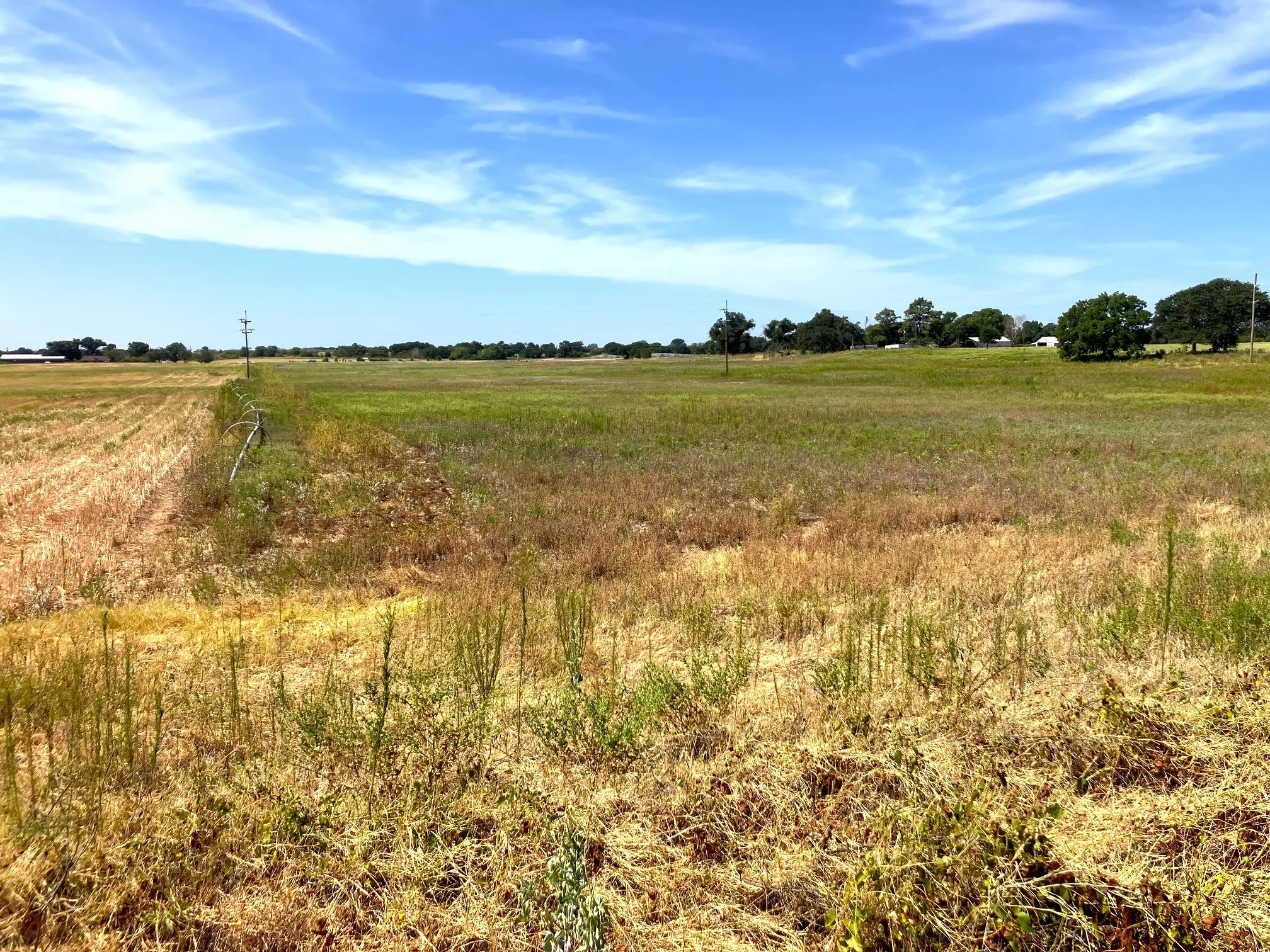 Improved Land For Sale in Comanche County , 25.49 Acres TBD Highway 6, De Leon, Texas 76444, 0, 0, Garage spaces, 0 Sqft, built in 0, Price $267,645, mls#21365709, Real Estate Agent in De Leon, Homes For Sale in Comanche county, Homes For Sale in De Leon, Realtor in De Leon Texas, Real Estate Brokerage Independent Realty Texas, Luminita Cordes Realtor
