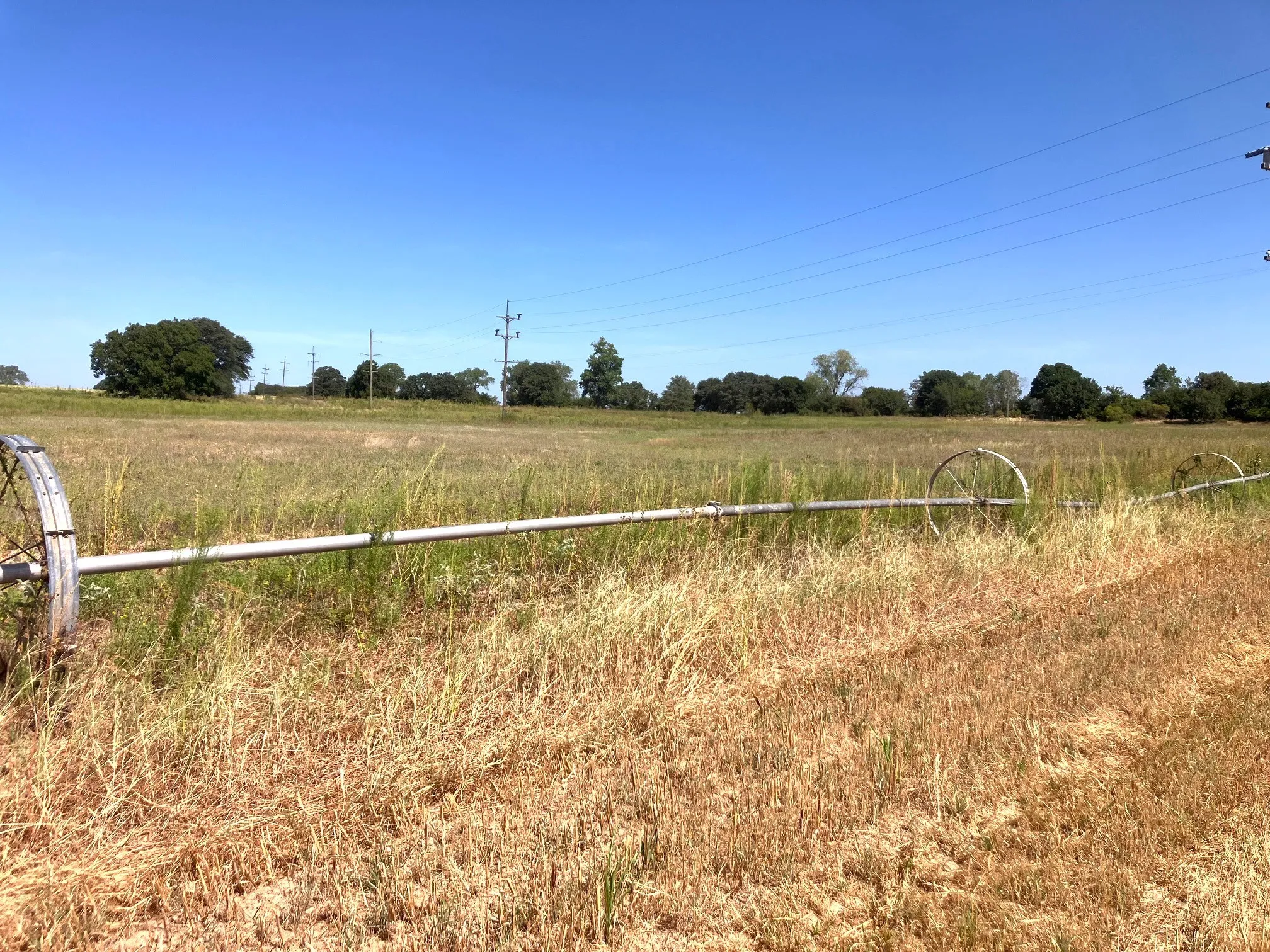 Improved Land For Sale in Comanche County , 25.49 Acres TBD Highway 6, De Leon, Texas 76444, 0, 0, Garage spaces, 0 Sqft, built in 0, Price $267,645, mls#21365709, Real Estate Agent in De Leon, Homes For Sale in Comanche county, Homes For Sale in De Leon, Realtor in De Leon Texas, Real Estate Brokerage Independent Realty Texas, Luminita Cordes Realtor