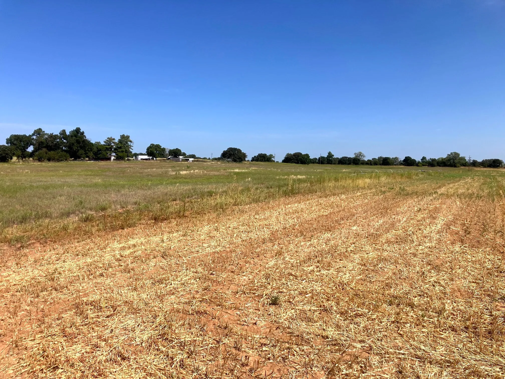 Improved Land For Sale in Comanche County , 25.49 Acres TBD Highway 6, De Leon, Texas 76444, 0, 0, Garage spaces, 0 Sqft, built in 0, Price $267,645, mls#21365709, Real Estate Agent in De Leon, Homes For Sale in Comanche county, Homes For Sale in De Leon, Realtor in De Leon Texas, Real Estate Brokerage Independent Realty Texas, Luminita Cordes Realtor