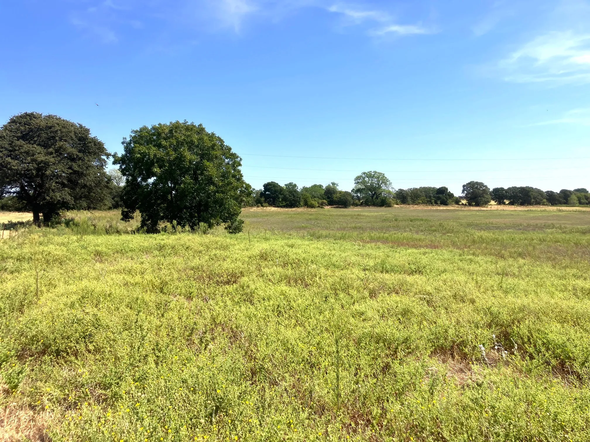 Improved Land For Sale in Comanche County , 25.49 Acres TBD Highway 6, De Leon, Texas 76444, 0, 0, Garage spaces, 0 Sqft, built in 0, Price $267,645, mls#21365709, Real Estate Agent in De Leon, Homes For Sale in Comanche county, Homes For Sale in De Leon, Realtor in De Leon Texas, Real Estate Brokerage Independent Realty Texas, Luminita Cordes Realtor