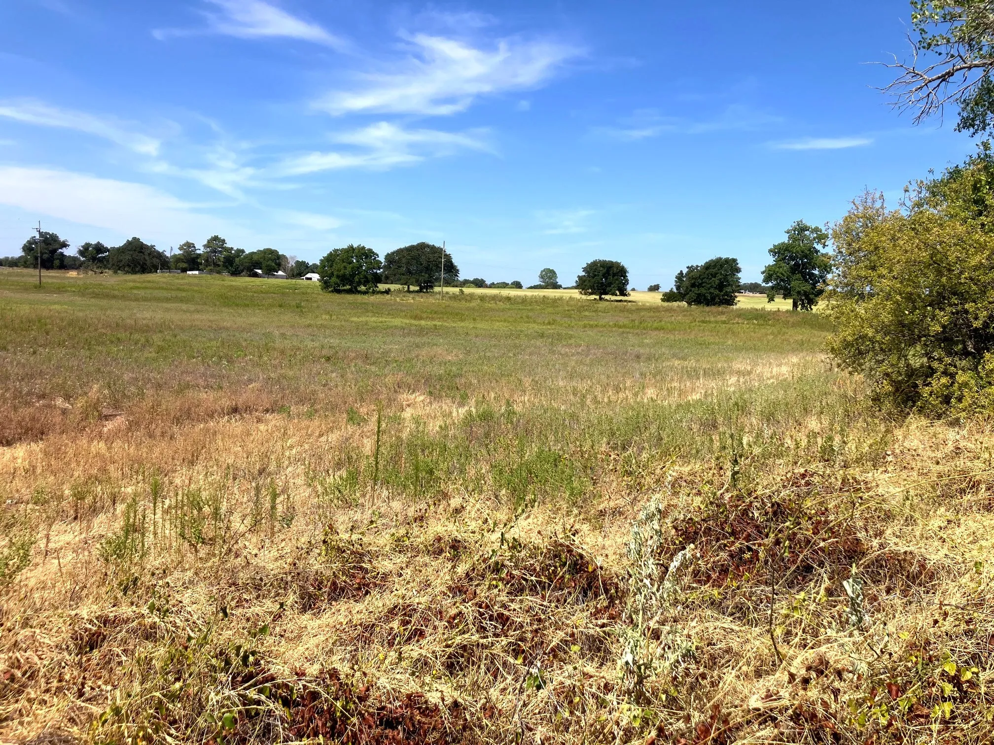 Improved Land For Sale in Comanche County , 25.49 Acres TBD Highway 6, De Leon, Texas 76444, 0, 0, Garage spaces, 0 Sqft, built in 0, Price $267,645, mls#21365709, Real Estate Agent in De Leon, Homes For Sale in Comanche county, Homes For Sale in De Leon, Realtor in De Leon Texas, Real Estate Brokerage Independent Realty Texas, Luminita Cordes Realtor