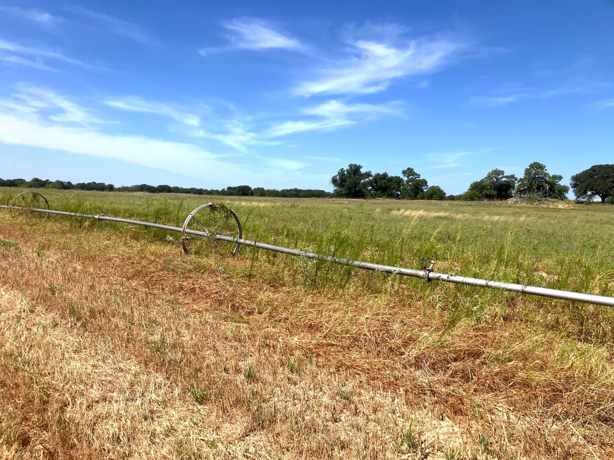 Improved Land For Sale in Comanche County , 25.49 Acres TBD Highway 6, De Leon, Texas 76444, 0, 0, Garage spaces, 0 Sqft, built in 0, Price $267,645, mls#21365709, Real Estate Agent in De Leon, Homes For Sale in Comanche county, Homes For Sale in De Leon, Realtor in De Leon Texas, Real Estate Brokerage Independent Realty Texas, Luminita Cordes Realtor