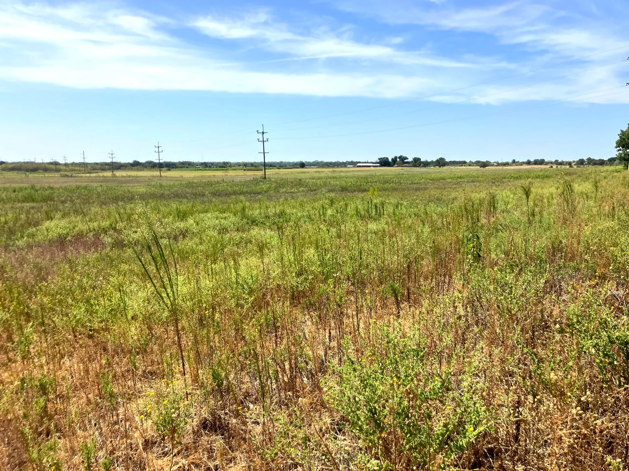 Improved Land For Sale in Comanche County , 25.49 Acres TBD Highway 6, De Leon, Texas 76444, 0, 0, Garage spaces, 0 Sqft, built in 0, Price $267,645, mls#21365709, Real Estate Agent in De Leon, Homes For Sale in Comanche county, Homes For Sale in De Leon, Realtor in De Leon Texas, Real Estate Brokerage Independent Realty Texas, Luminita Cordes Realtor