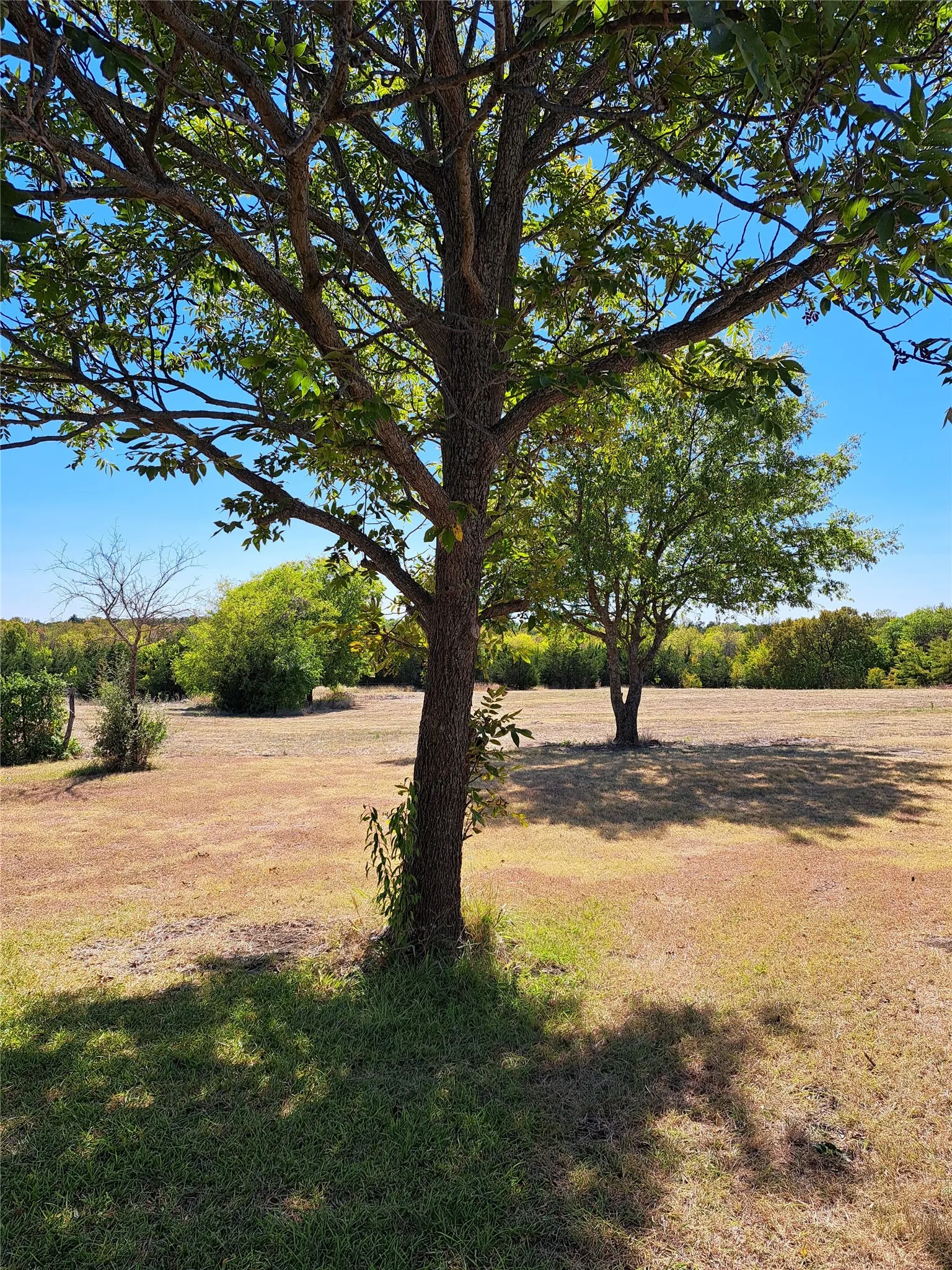 Unimproved Land For Sale in Collin County , 0000 Fm 982, Princeton, Texas 75407, 0, 0, Garage spaces, 0 Sqft, built in 1960, Price $2,295,000, mls#21365280, Real Estate Agent in Princeton, Homes For Sale in Collin county, Homes For Sale in Princeton, Realtor in Princeton Texas, Real Estate Brokerage Independent Realty Texas, Luminita Cordes Realtor