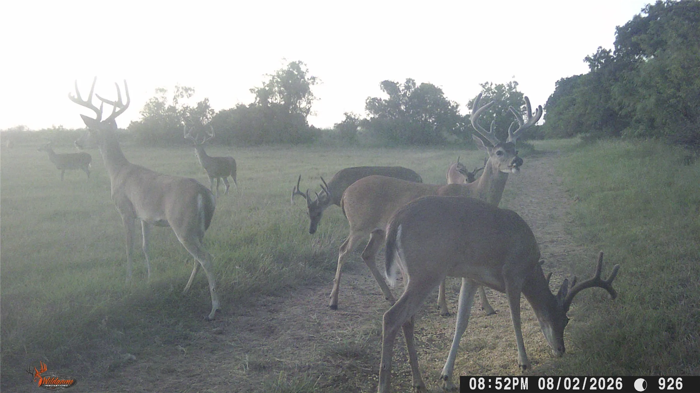 Farm For Sale in Brown County , 1010 FM 583, May, Texas 76471, 2 Bedroom, 3 Bathroom, 2 Garage spaces, 2,584 Sqft, built in 2022, Price $1,159,000, mls#21365740, Real Estate Agent in May, Homes For Sale in Brown county, Homes For Sale in May, Realtor in May Texas, Real Estate Brokerage Independent Realty Texas, Luminita Cordes Realtor