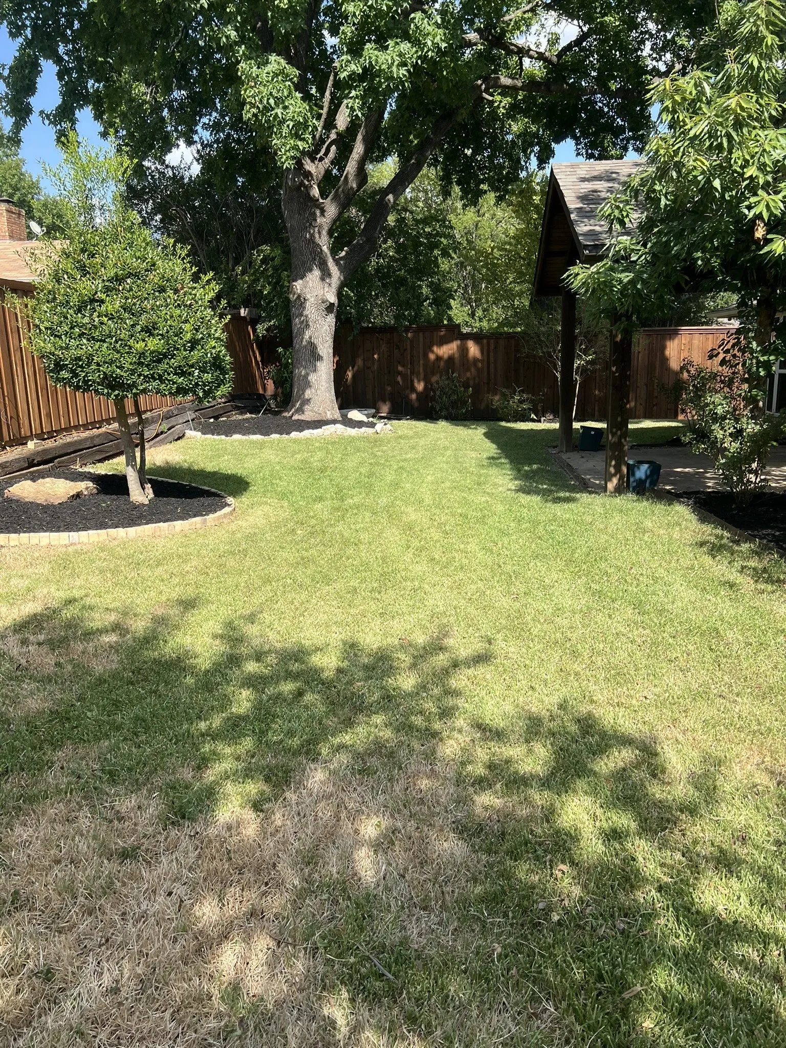 Expansive yard featuring mature trees, a privacy fence, and defined landscaping beds with dark mulch
