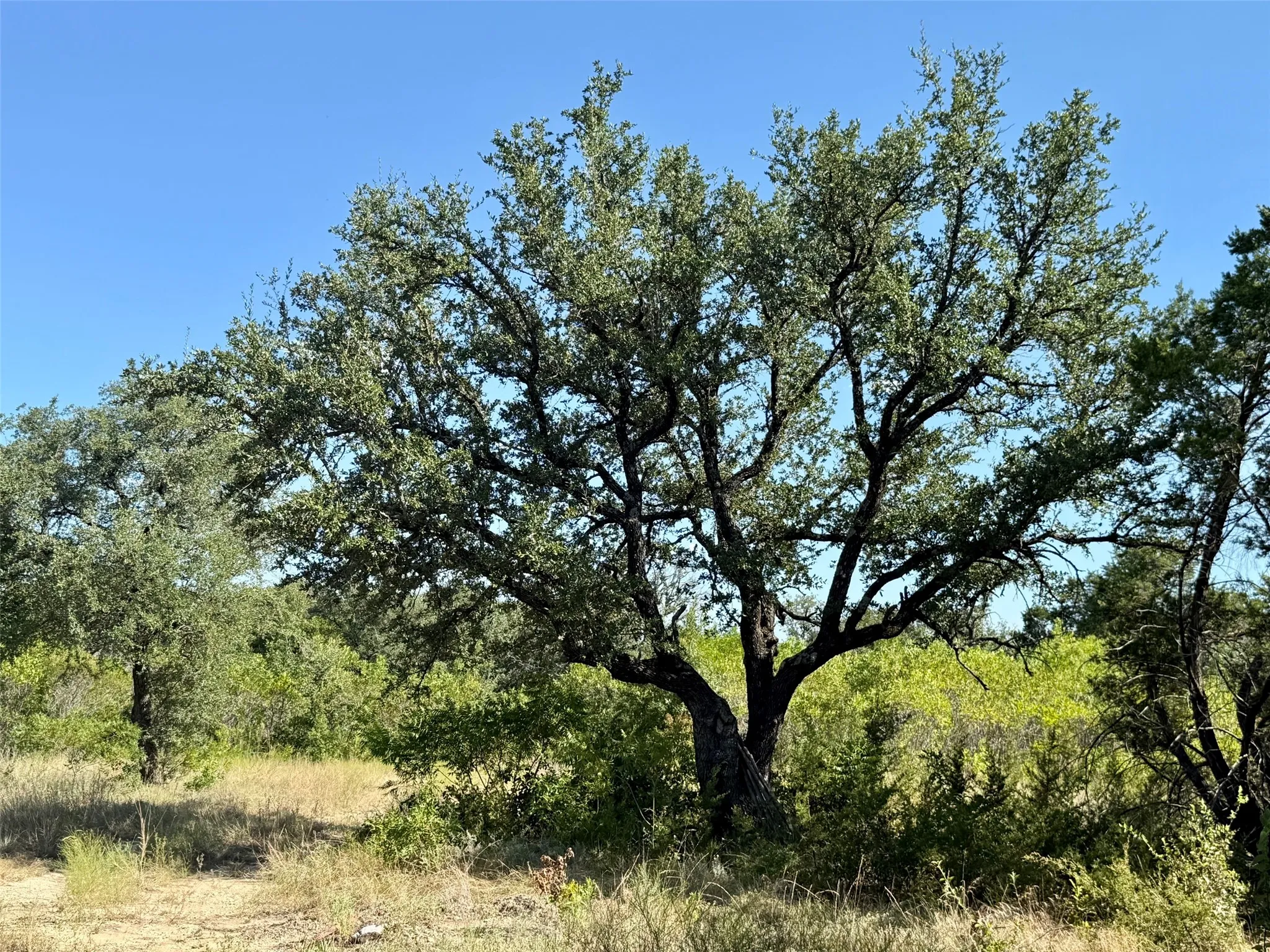 Improved Land For Sale in Hamilton County , 3931 County Road 607, Hamilton, Texas 76531, 0, 0, Garage spaces, 0 Sqft, built in 0, mls#21365723, Real Estate Agent in Hamilton, Homes For Sale in Hamilton county, Homes For Sale in Hamilton, Realtor in Hamilton Texas, Real Estate Brokerage Independent Realty Texas, Luminita Cordes Realtor