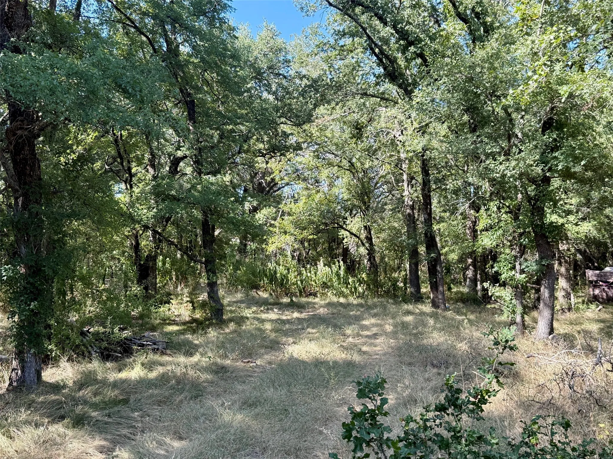 Improved Land For Sale in Hamilton County , 3931 County Road 607, Hamilton, Texas 76531, 0, 0, Garage spaces, 0 Sqft, built in 0, mls#21365723, Real Estate Agent in Hamilton, Homes For Sale in Hamilton county, Homes For Sale in Hamilton, Realtor in Hamilton Texas, Real Estate Brokerage Independent Realty Texas, Luminita Cordes Realtor