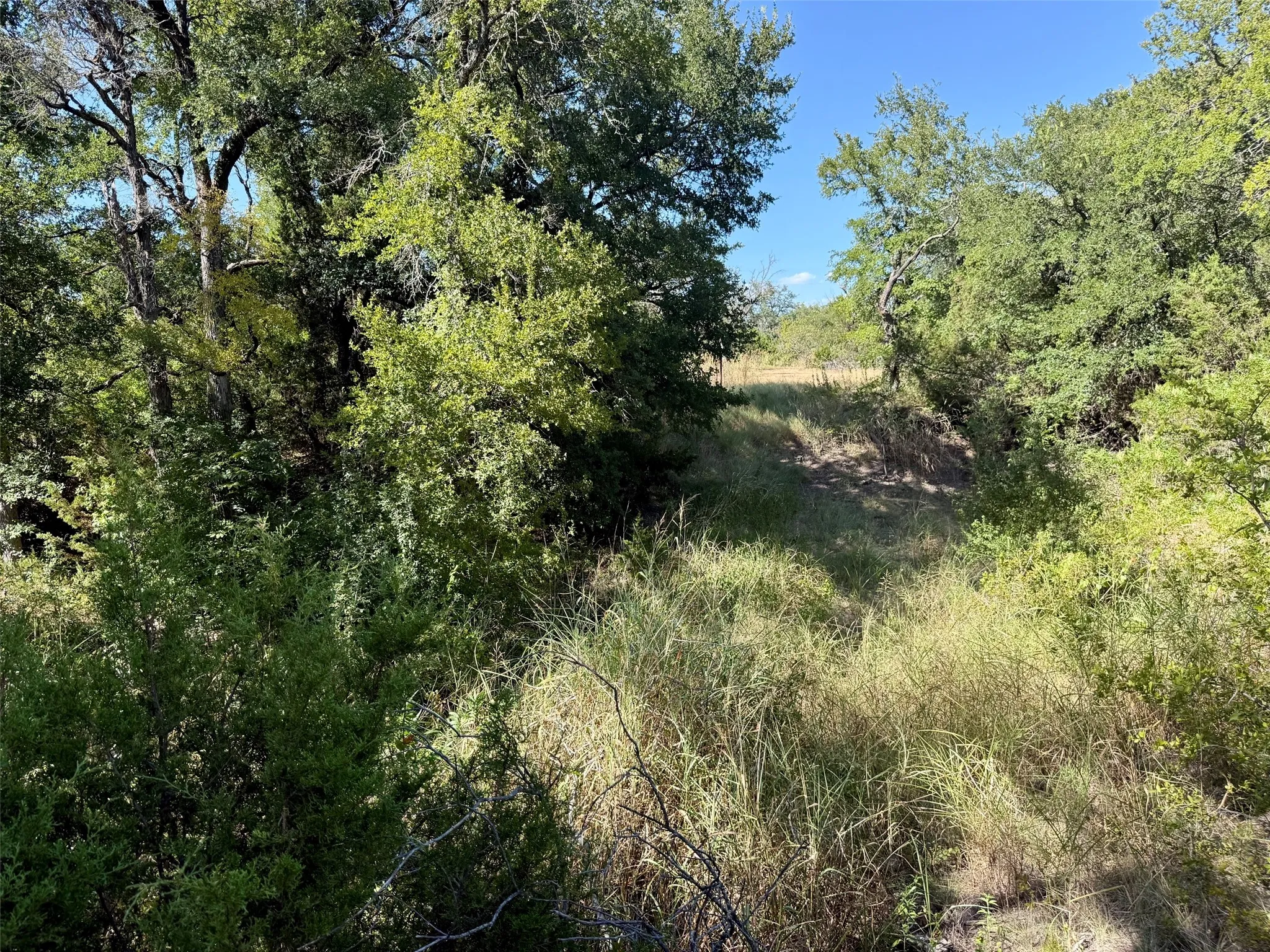 Improved Land For Sale in Hamilton County , 3931 County Road 607, Hamilton, Texas 76531, 0, 0, Garage spaces, 0 Sqft, built in 0, mls#21365723, Real Estate Agent in Hamilton, Homes For Sale in Hamilton county, Homes For Sale in Hamilton, Realtor in Hamilton Texas, Real Estate Brokerage Independent Realty Texas, Luminita Cordes Realtor