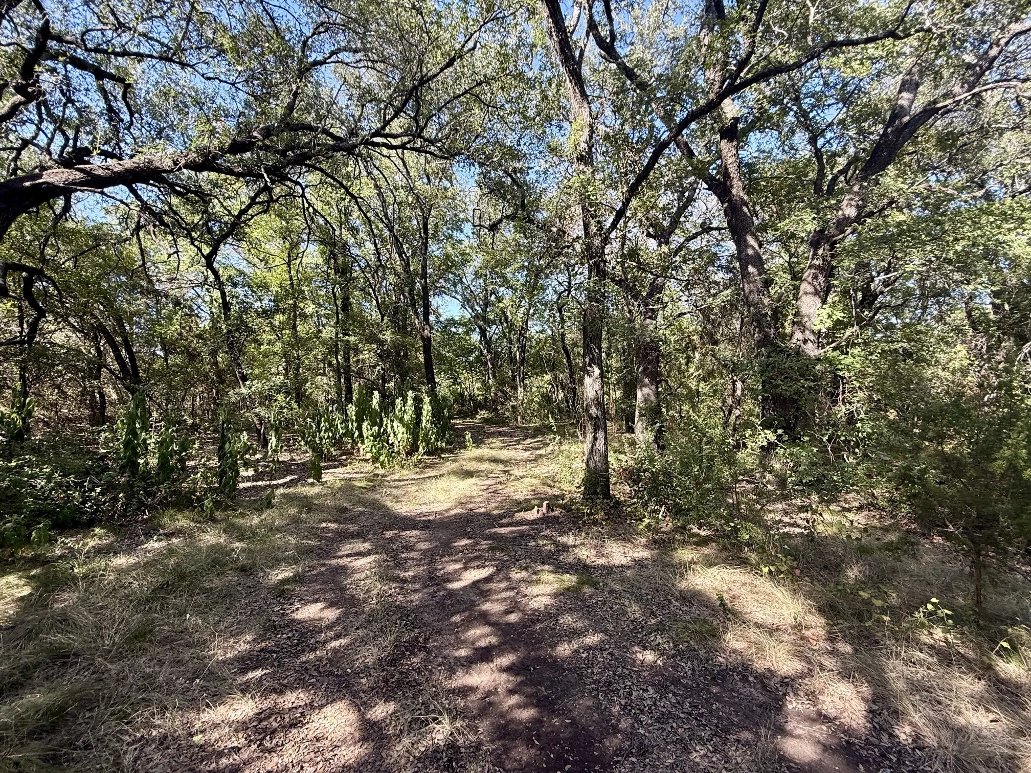Improved Land For Sale in Hamilton County , 3931 County Road 607, Hamilton, Texas 76531, 0, 0, Garage spaces, 0 Sqft, built in 0, mls#21365723, Real Estate Agent in Hamilton, Homes For Sale in Hamilton county, Homes For Sale in Hamilton, Realtor in Hamilton Texas, Real Estate Brokerage Independent Realty Texas, Luminita Cordes Realtor