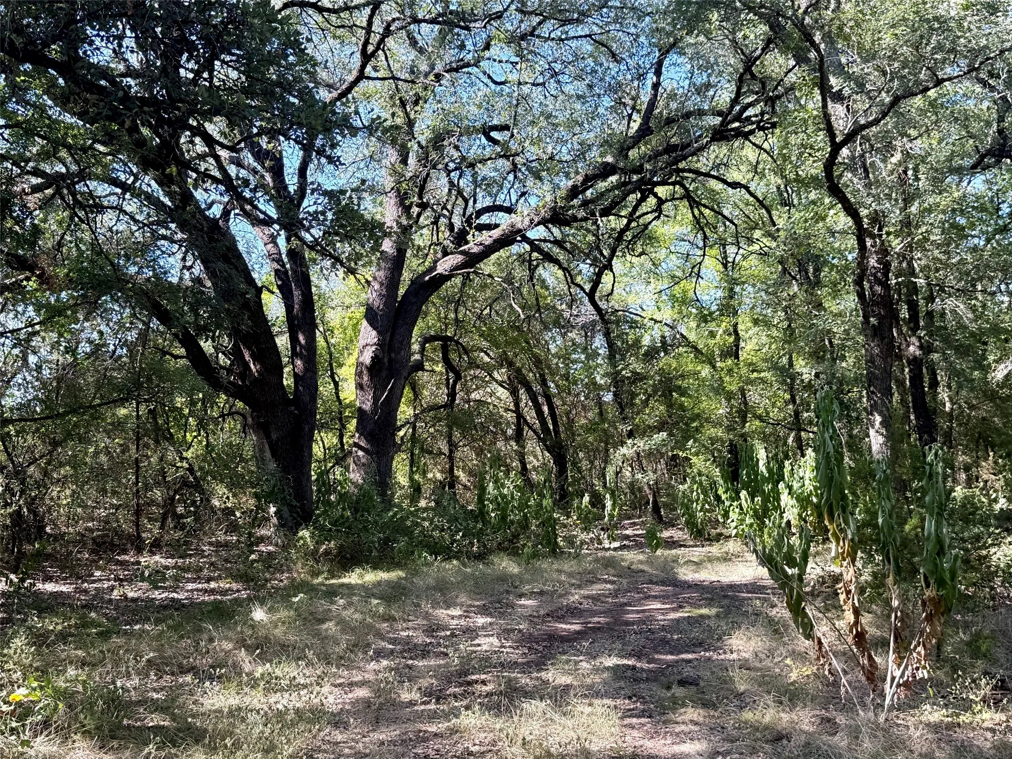 Improved Land For Sale in Hamilton County , 3931 County Road 607, Hamilton, Texas 76531, 0, 0, Garage spaces, 0 Sqft, built in 0, mls#21365723, Real Estate Agent in Hamilton, Homes For Sale in Hamilton county, Homes For Sale in Hamilton, Realtor in Hamilton Texas, Real Estate Brokerage Independent Realty Texas, Luminita Cordes Realtor