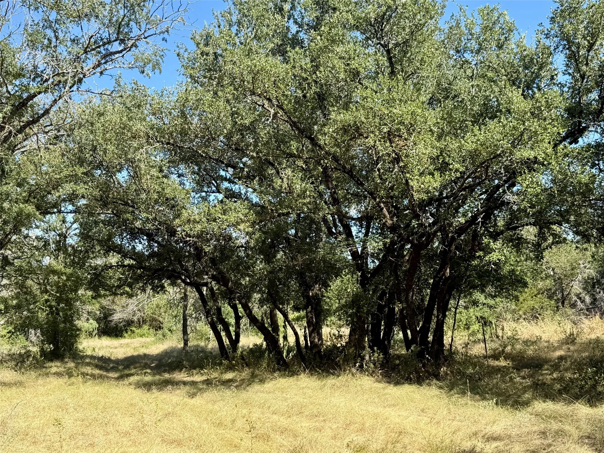 Improved Land For Sale in Hamilton County , 3931 County Road 607, Hamilton, Texas 76531, 0, 0, Garage spaces, 0 Sqft, built in 0, mls#21365723, Real Estate Agent in Hamilton, Homes For Sale in Hamilton county, Homes For Sale in Hamilton, Realtor in Hamilton Texas, Real Estate Brokerage Independent Realty Texas, Luminita Cordes Realtor