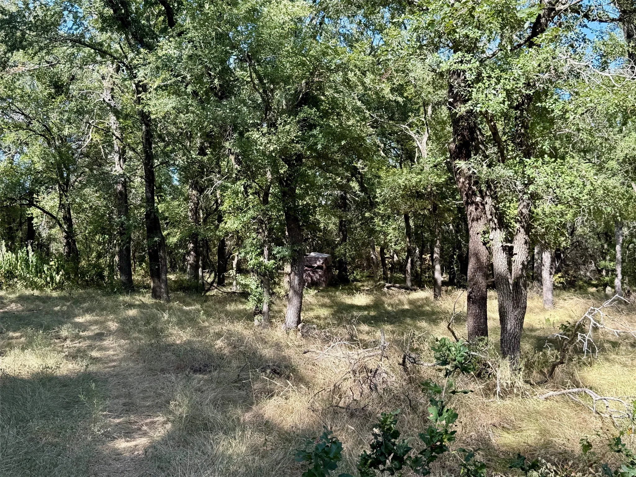 Improved Land For Sale in Hamilton County , 3931 County Road 607, Hamilton, Texas 76531, 0, 0, Garage spaces, 0 Sqft, built in 0, mls#21365723, Real Estate Agent in Hamilton, Homes For Sale in Hamilton county, Homes For Sale in Hamilton, Realtor in Hamilton Texas, Real Estate Brokerage Independent Realty Texas, Luminita Cordes Realtor