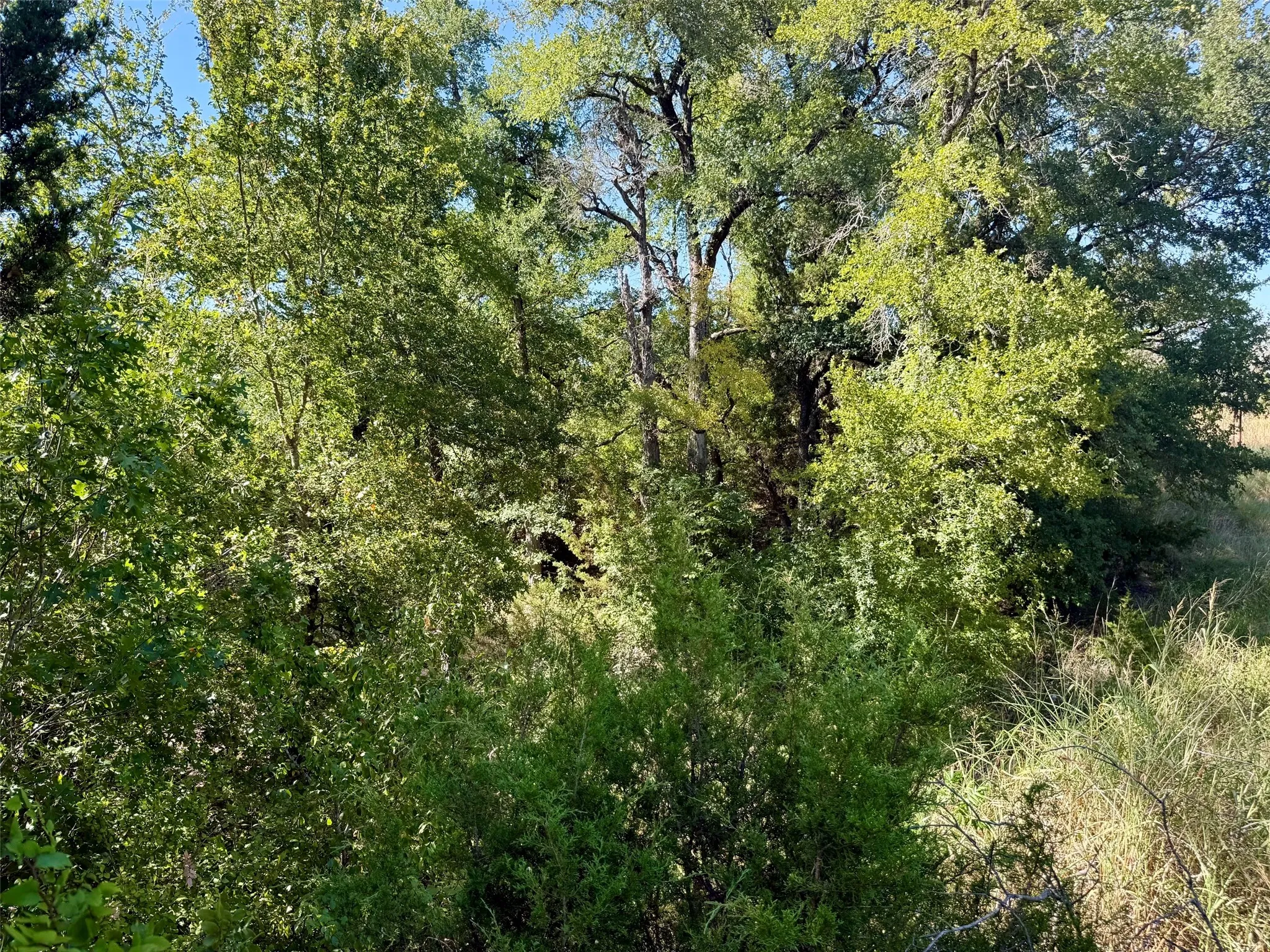 Improved Land For Sale in Hamilton County , 3931 County Road 607, Hamilton, Texas 76531, 0, 0, Garage spaces, 0 Sqft, built in 0, mls#21365723, Real Estate Agent in Hamilton, Homes For Sale in Hamilton county, Homes For Sale in Hamilton, Realtor in Hamilton Texas, Real Estate Brokerage Independent Realty Texas, Luminita Cordes Realtor