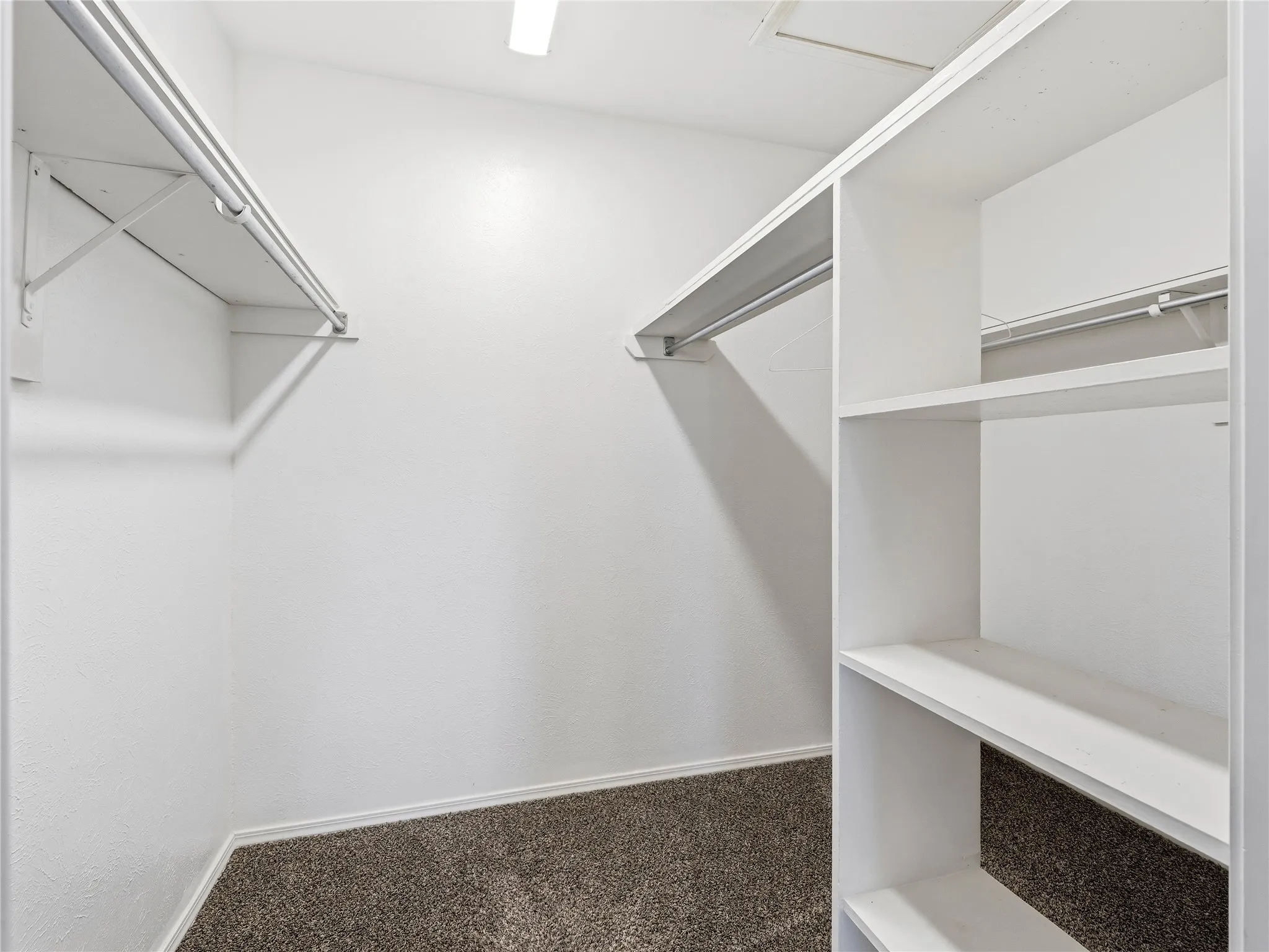 Walk-in closet featuring built-in shelving, hanging rods, and carpet flooring