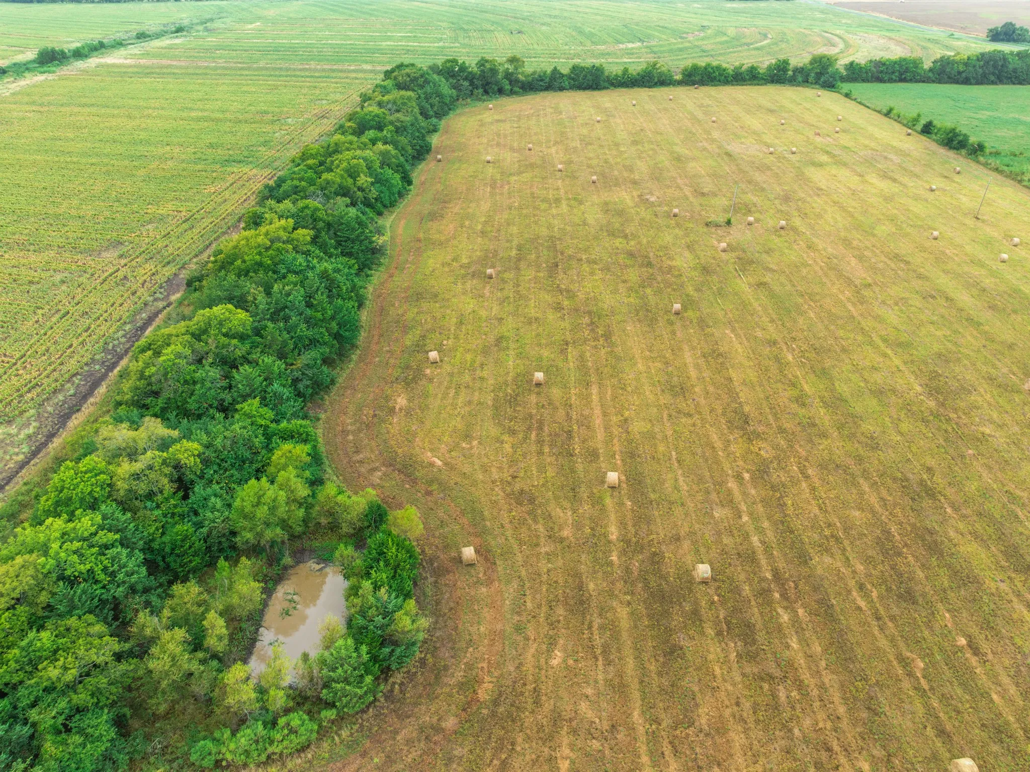 Farm For Sale in Lamar County , 1905 Fm 1501, Deport, Texas 75435, 3 Bedroom, 2 Bathroom, Garage spaces, 1,164 Sqft, built in 1988, Price $275,000, mls#21365824, Real Estate Agent in Deport, Homes For Sale in Lamar county, Homes For Sale in Deport, Realtor in Deport Texas, Real Estate Brokerage Independent Realty Texas, Luminita Cordes Realtor