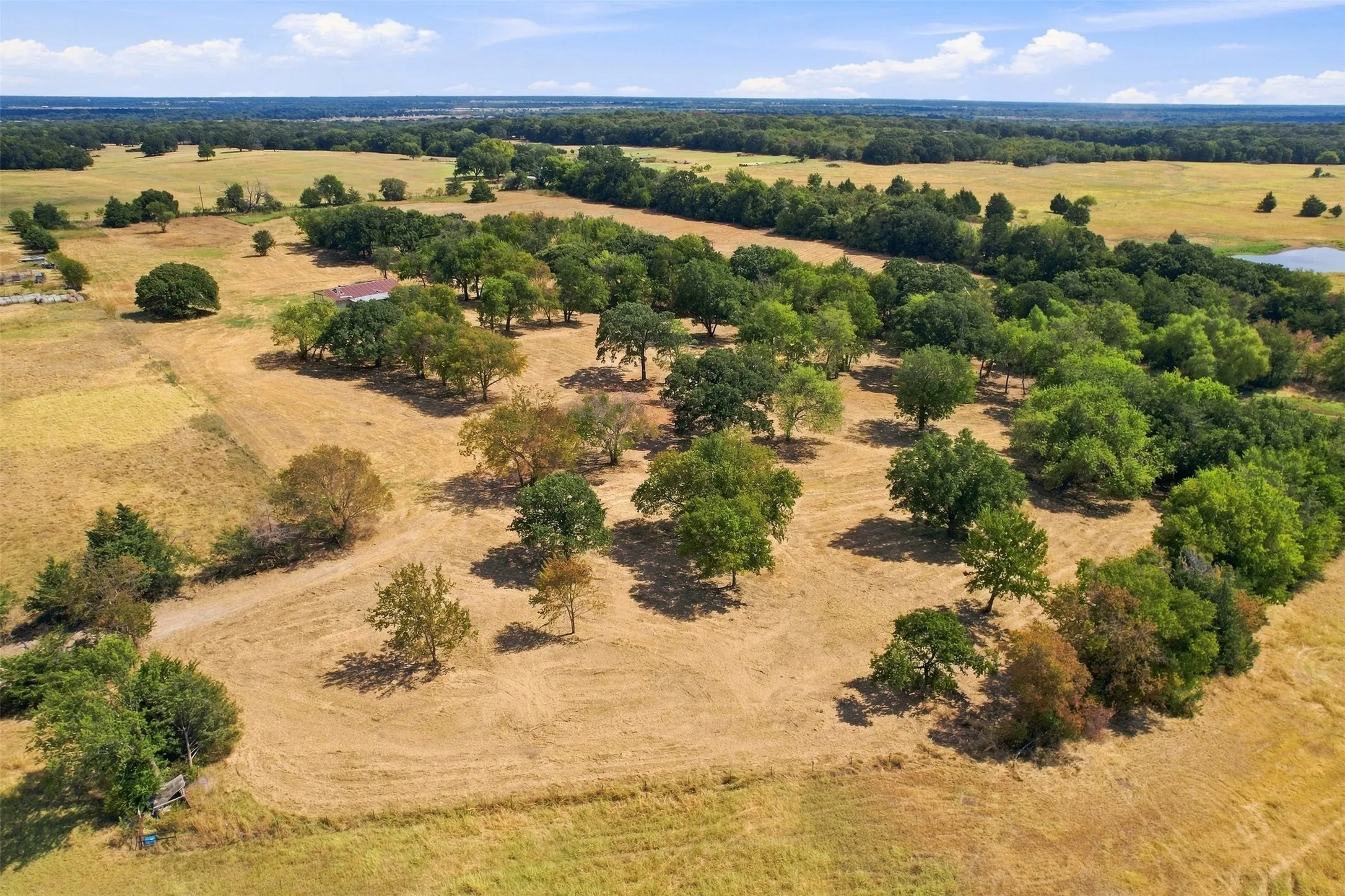 Improved Land For Sale in Grayson County , 44 Sanford Road, Bells, Texas 75414, 0, 0, Garage spaces, 0 Sqft, built in 0, mls#21361574, Real Estate Agent in Bells, Homes For Sale in Grayson county, Homes For Sale in Bells, Realtor in Bells Texas, Real Estate Brokerage Independent Realty Texas, Luminita Cordes Realtor