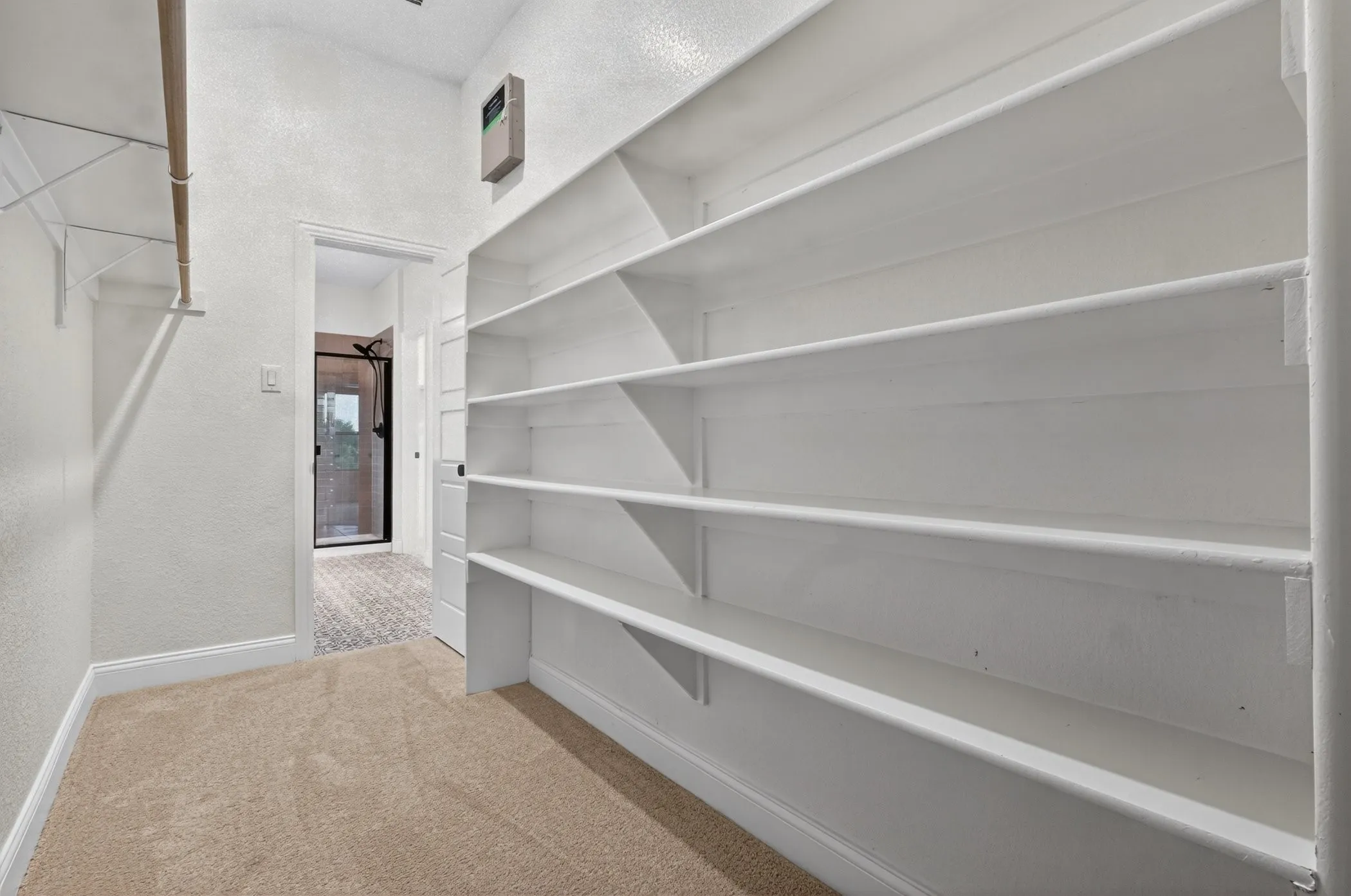 Built-in shelving, carpet flooring, a clothing rod with shelving, and a panel door
