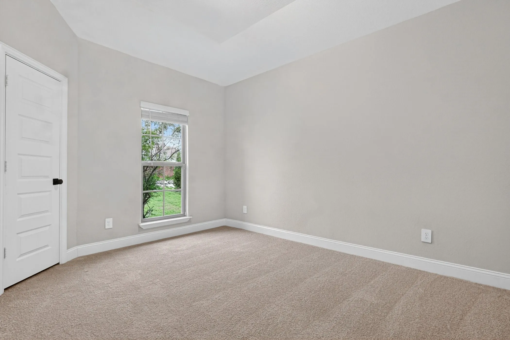Tray ceiling with neutral wall paint, carpet flooring, and a multi-panel interior door