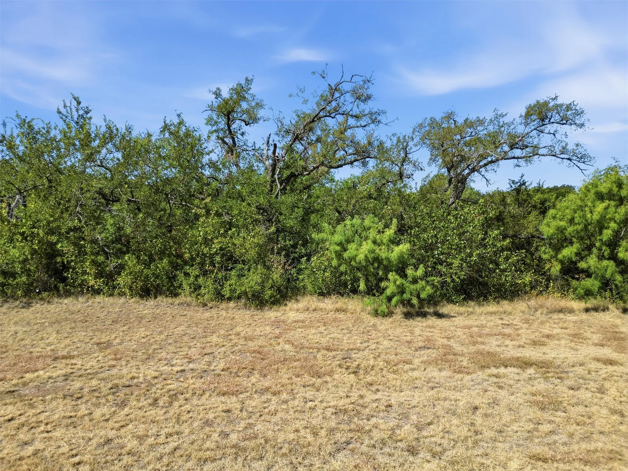 Improved Land For Sale in Parker County , 126 Constellation Drive, Cresson, Texas 76035, 0, 0, Garage spaces, 0 Sqft, built in 0, mls#21365439, Real Estate Agent in Cresson, Homes For Sale in Parker county, Homes For Sale in Cresson, Realtor in Cresson Texas, Real Estate Brokerage Independent Realty Texas, Luminita Cordes Realtor