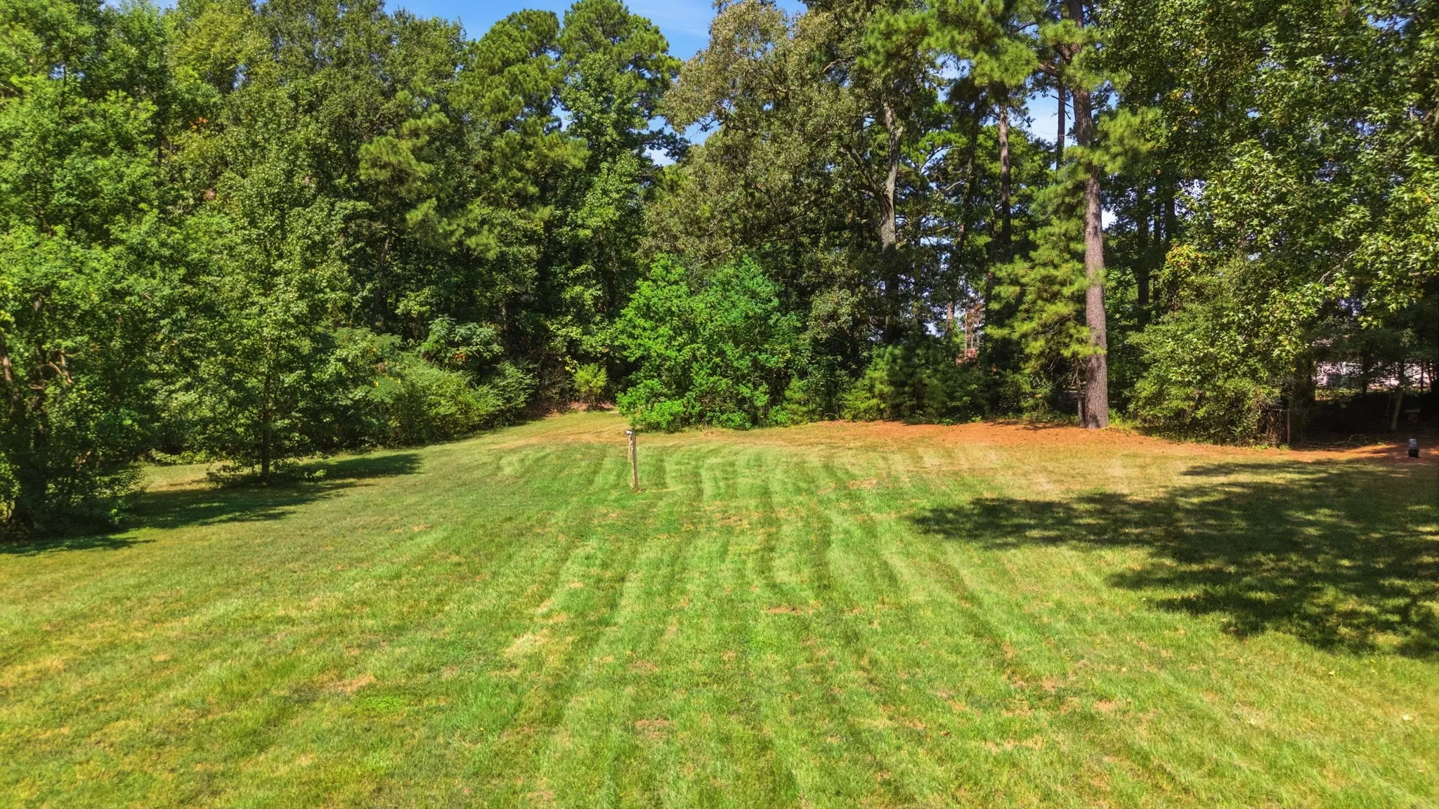 Expansive green lawn surrounded by mature trees